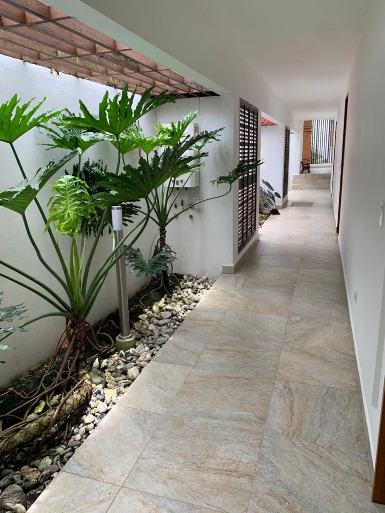 Casa Nature