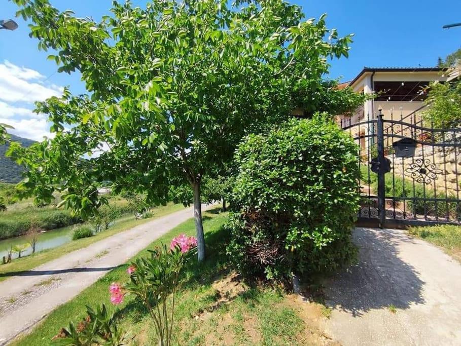 Villa Fani