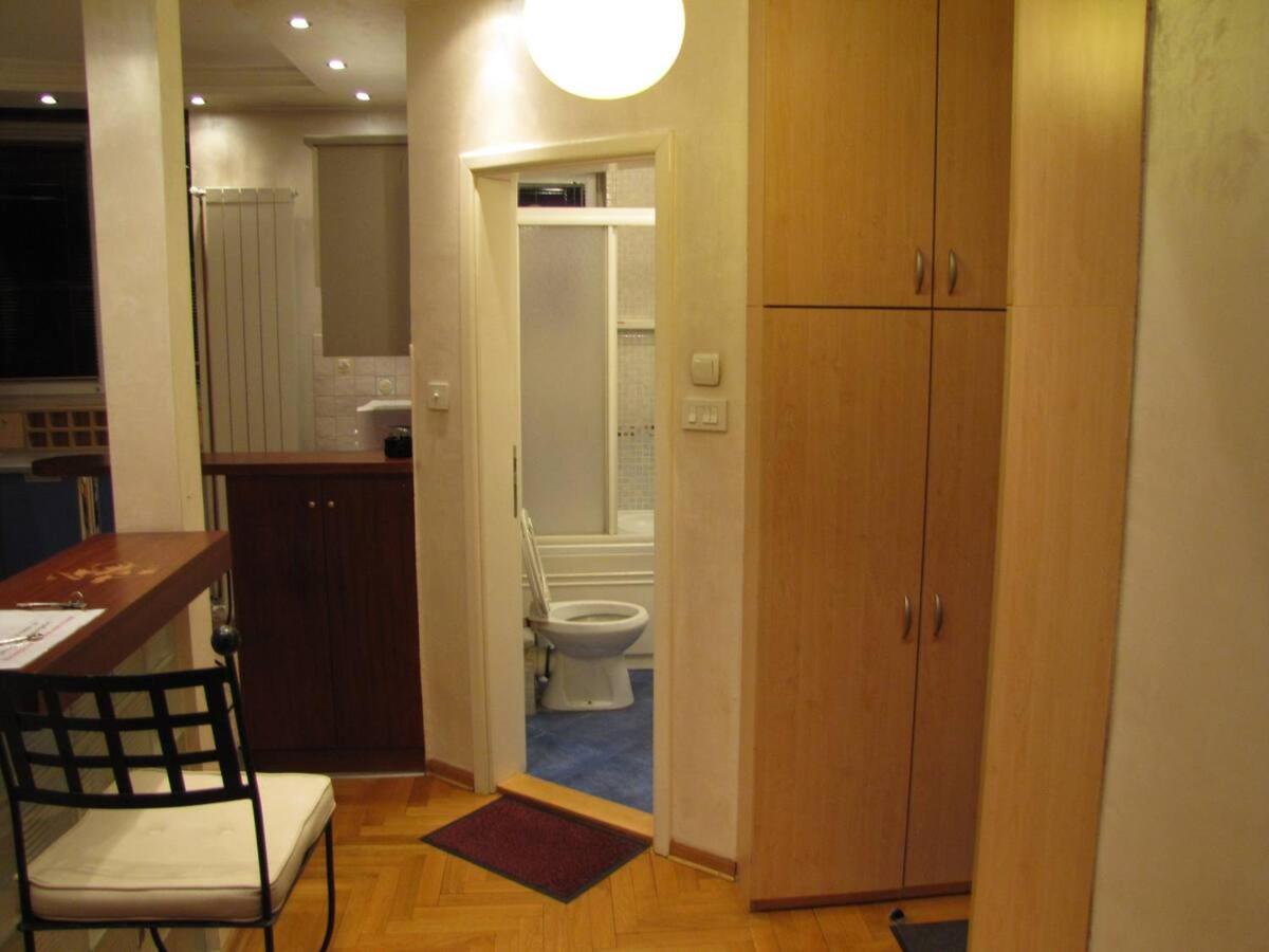Central Belgrade apartment with jacuzzi bath view 2