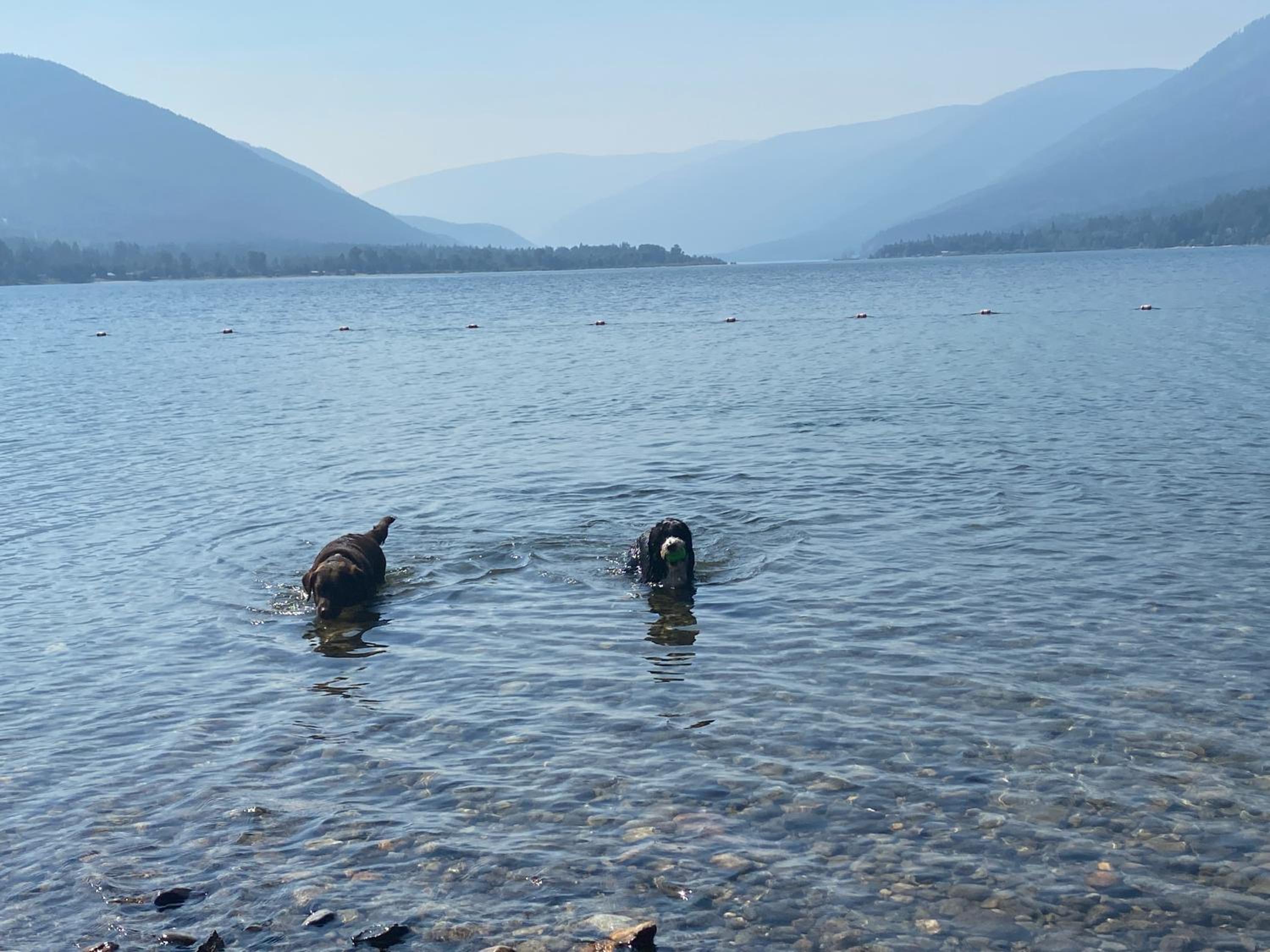 The Kootenay Cottage