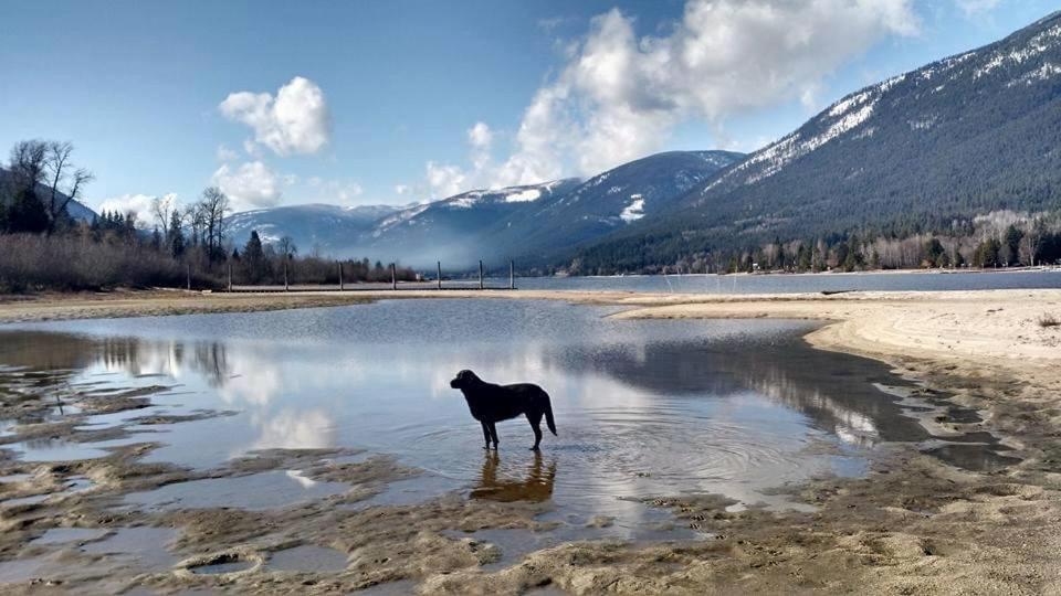 The Kootenay Cottage