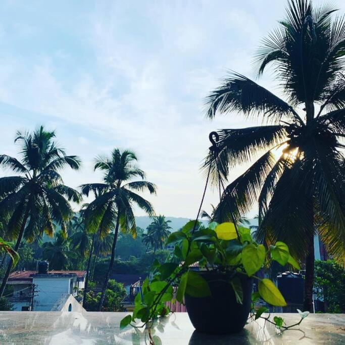 Cosy-vibes 2bhk High Speed Wi-fi near Baga beach view 5