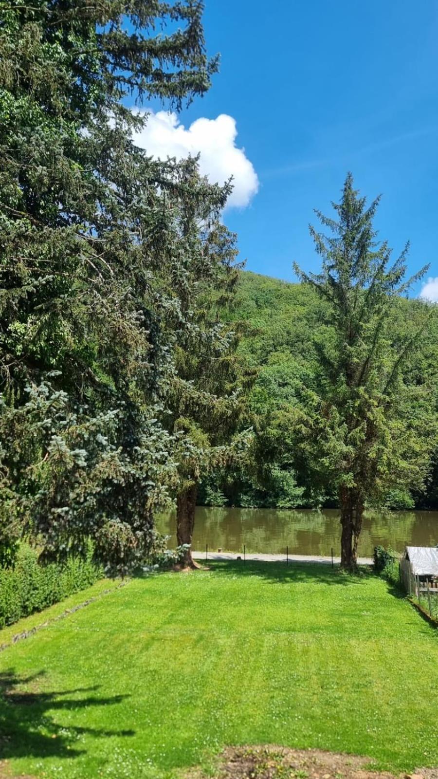 Le sapin bleu