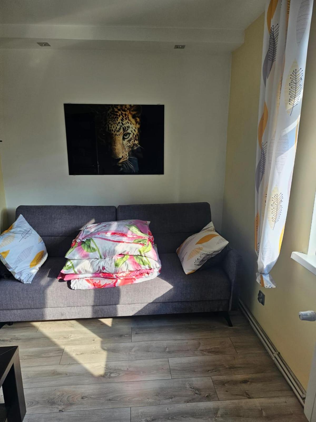 Photo 17