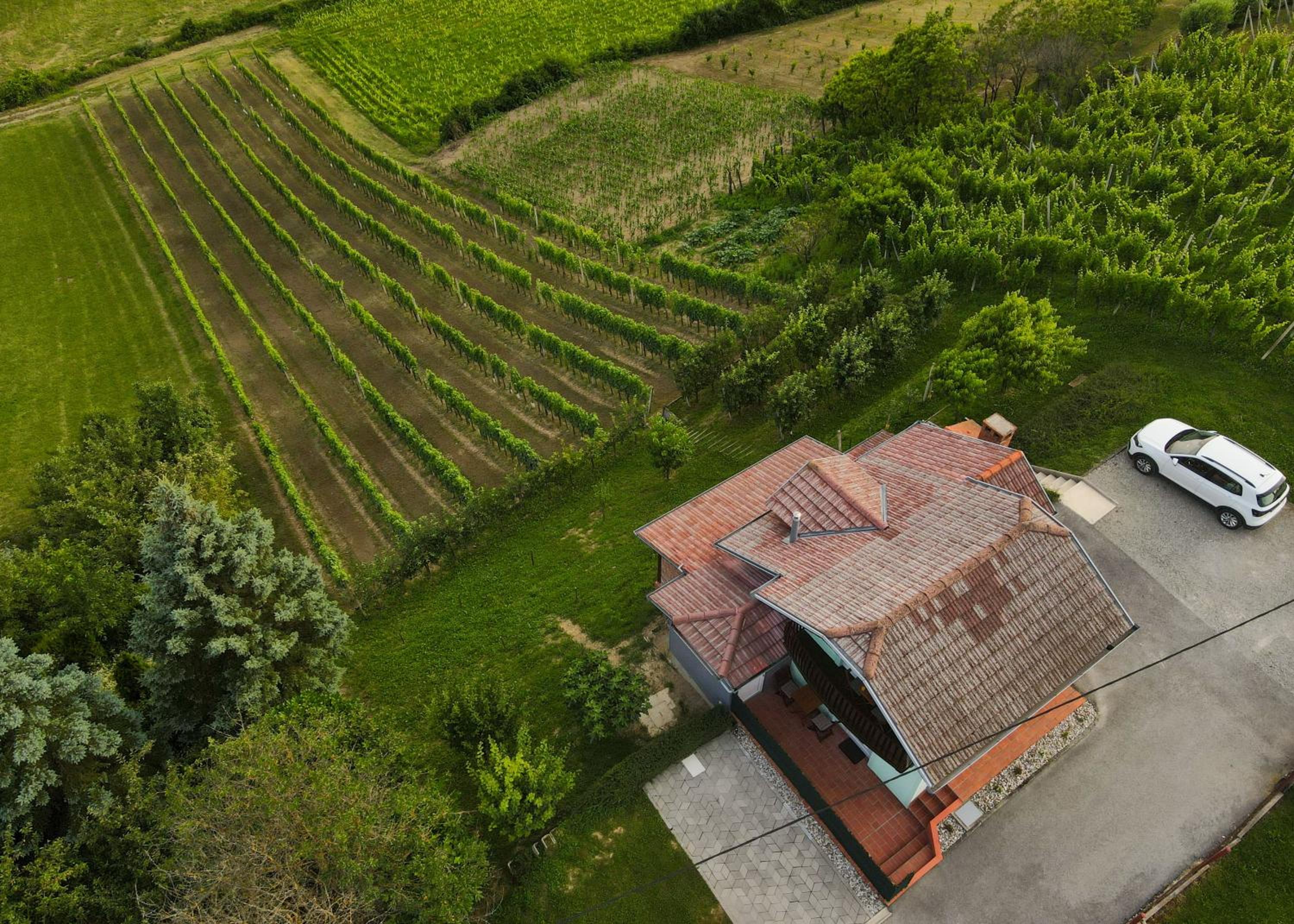 Ruralna kuća za odmor CVEPUK view 5