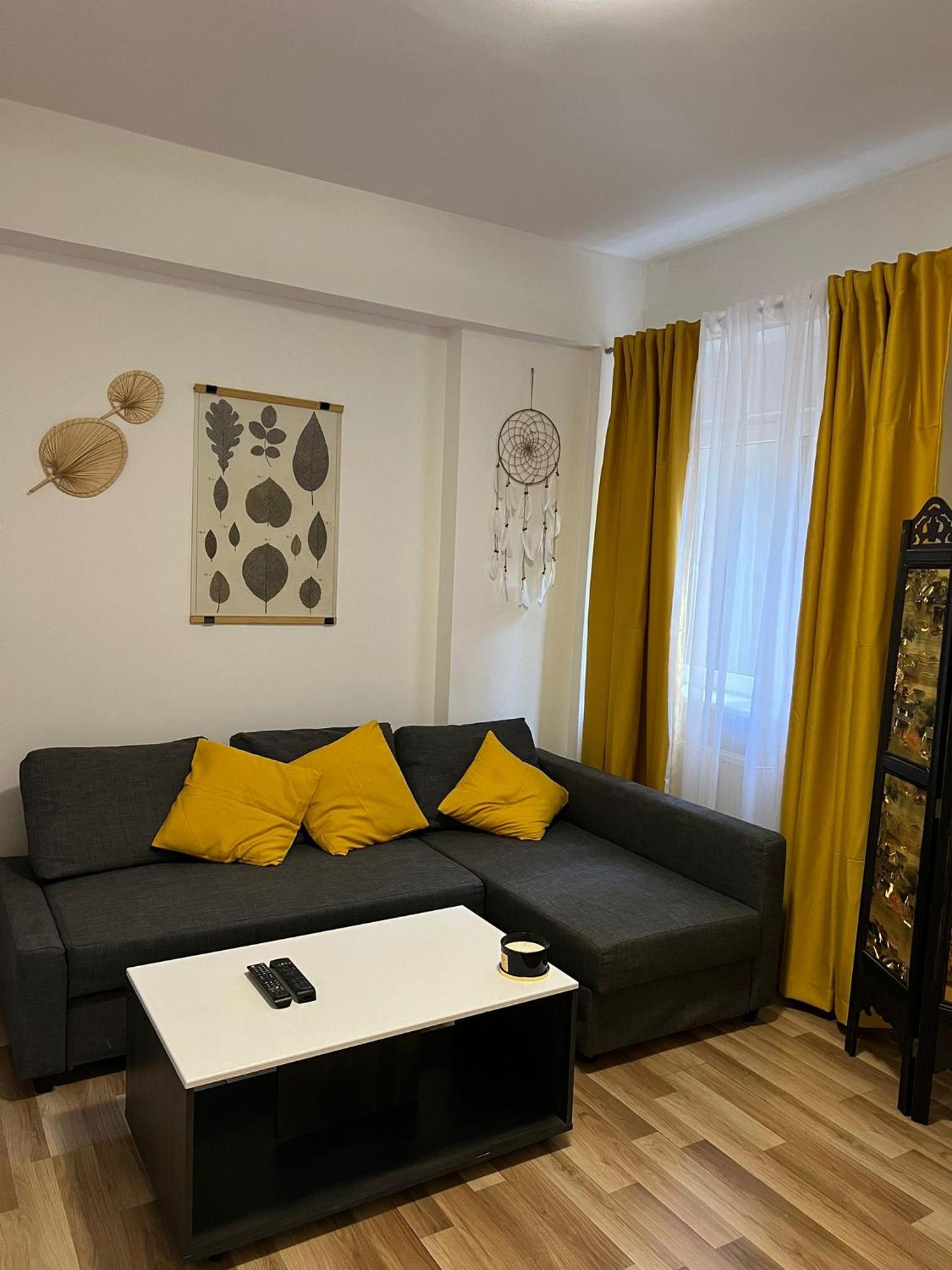 Studio Ultracentral Universitate