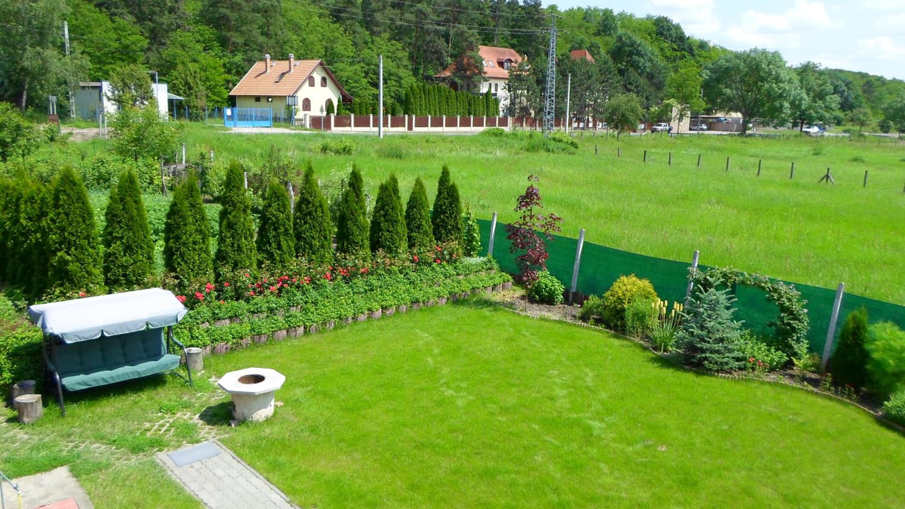 Photo 41