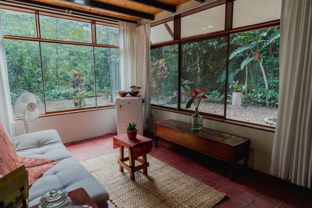 Magico Bosque - Bungalow view 4