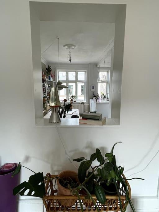 Photo 39