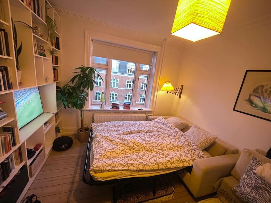 The Heart of Nørrebro Apartment, sleeps 4 people view 2