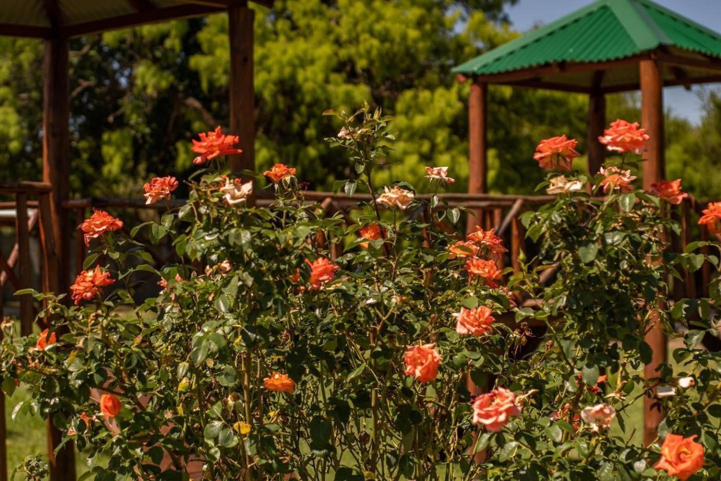 cabañas Villa de las rosas