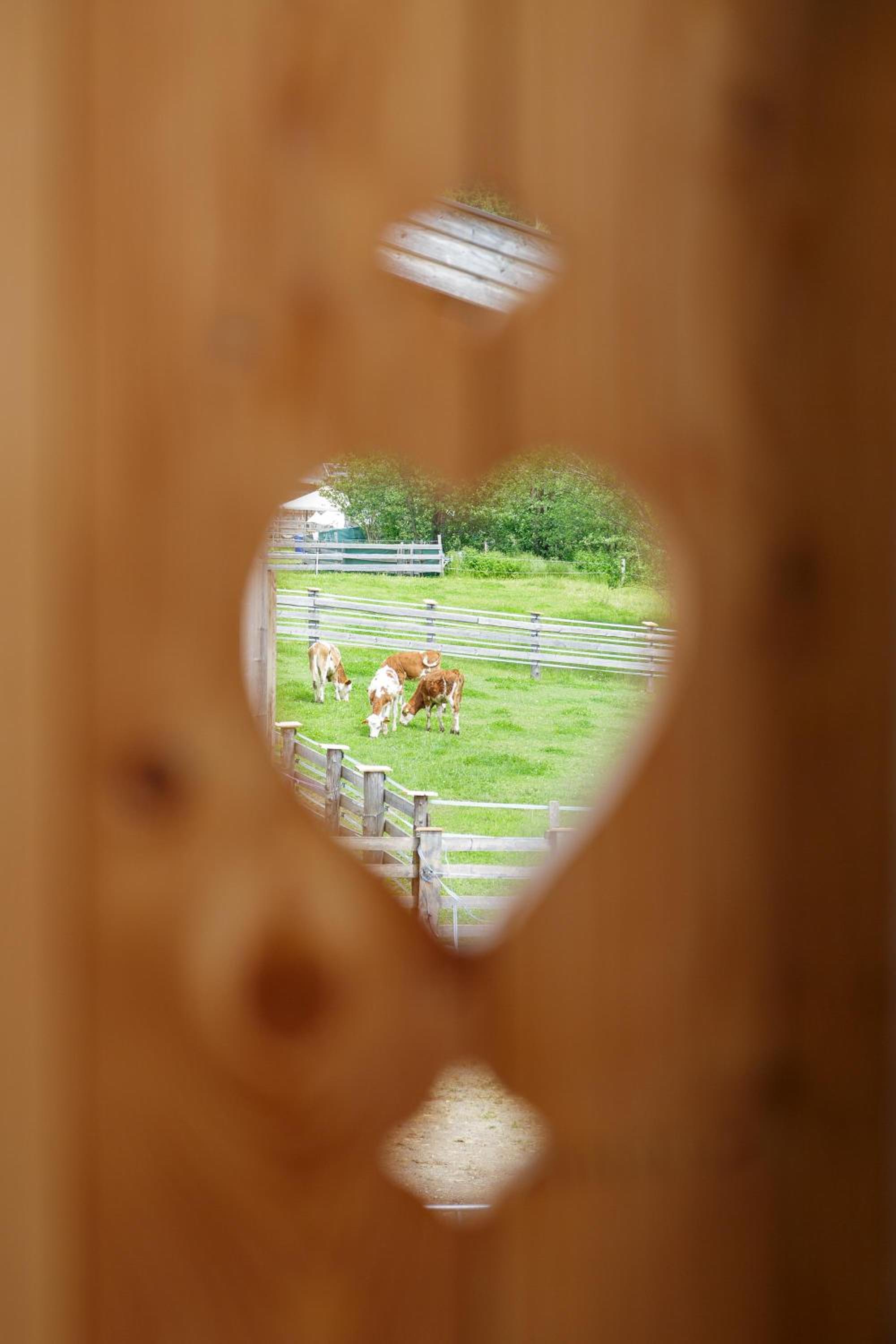 Ferienwohnung am Bauernhof, Korbingerhof