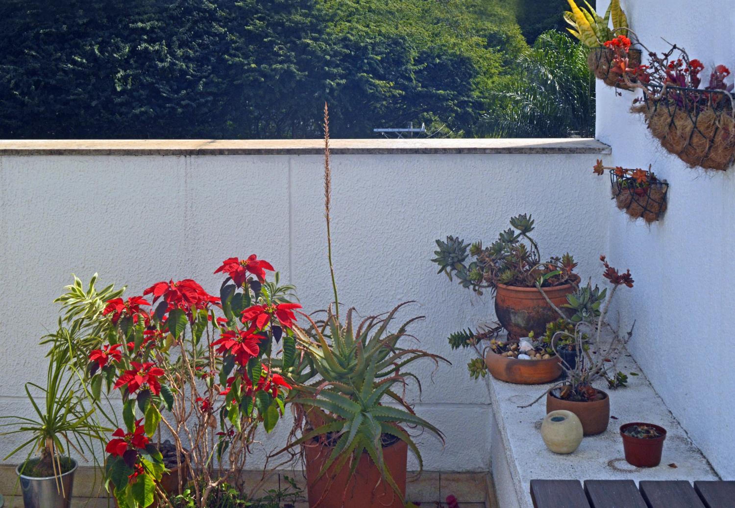 Garden Panorâmico Premium