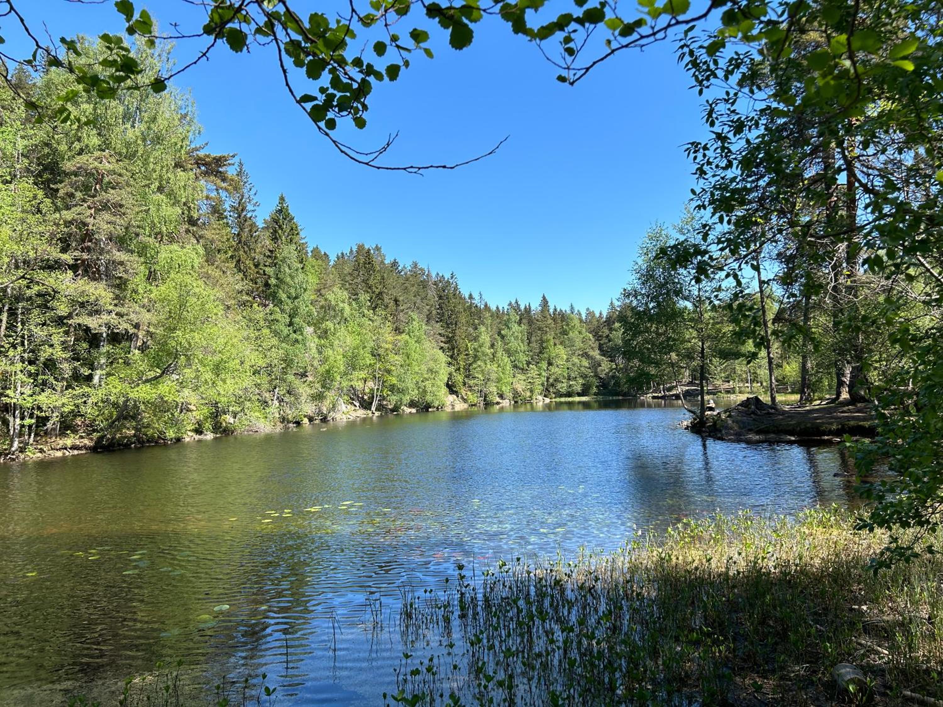 Hallingstua