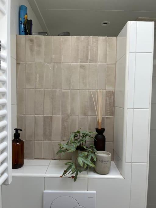 NIEUW Bootique Frysk huske Langweerderwielen view 3