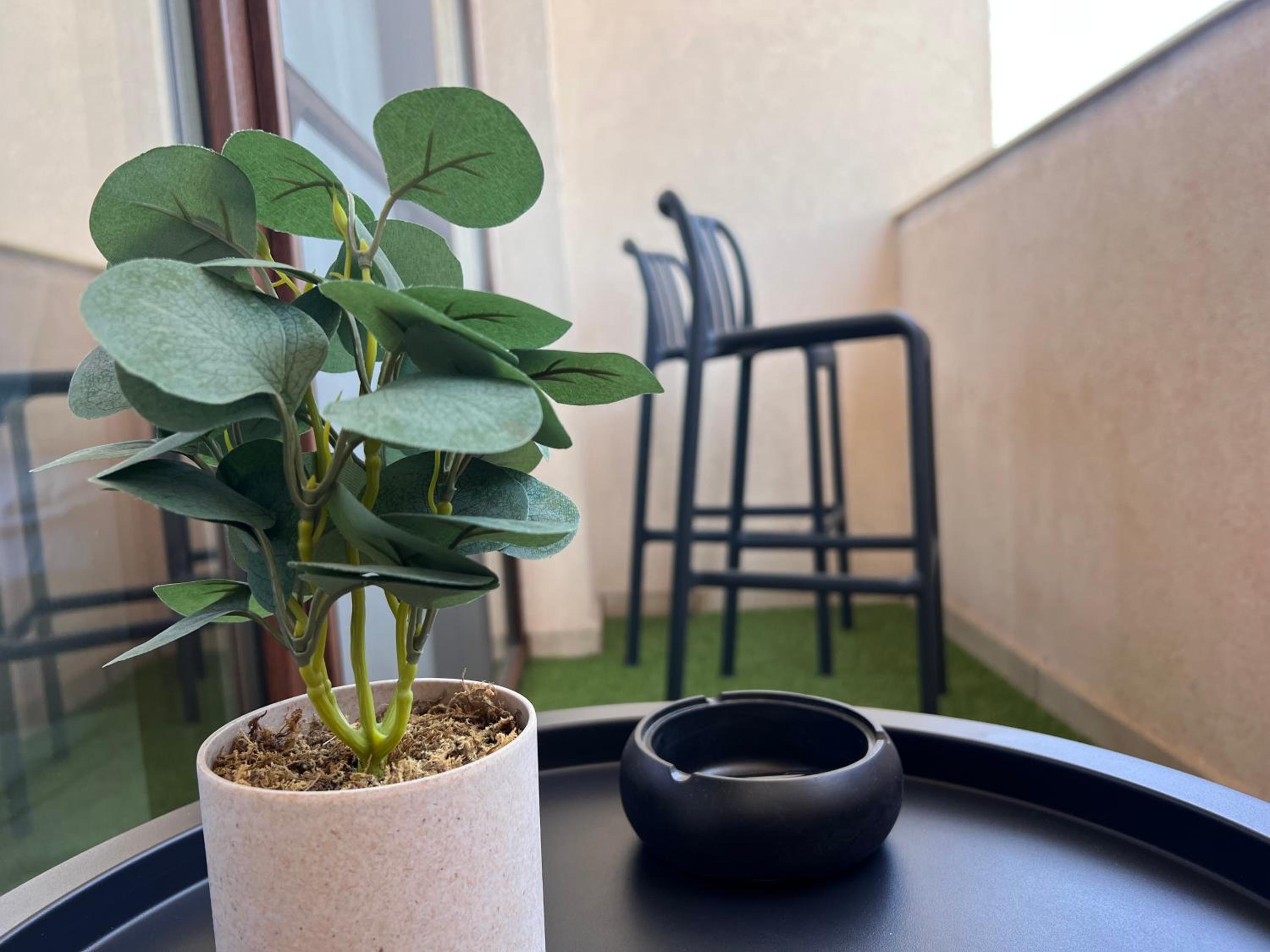 balance & terrace
