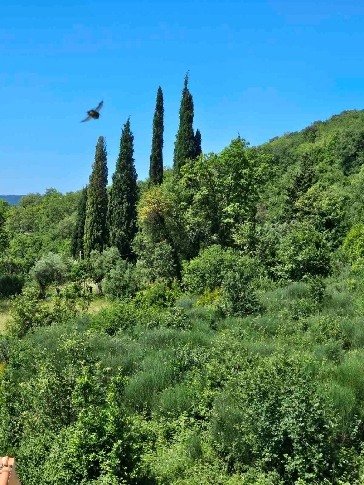La Vita Bella with pool