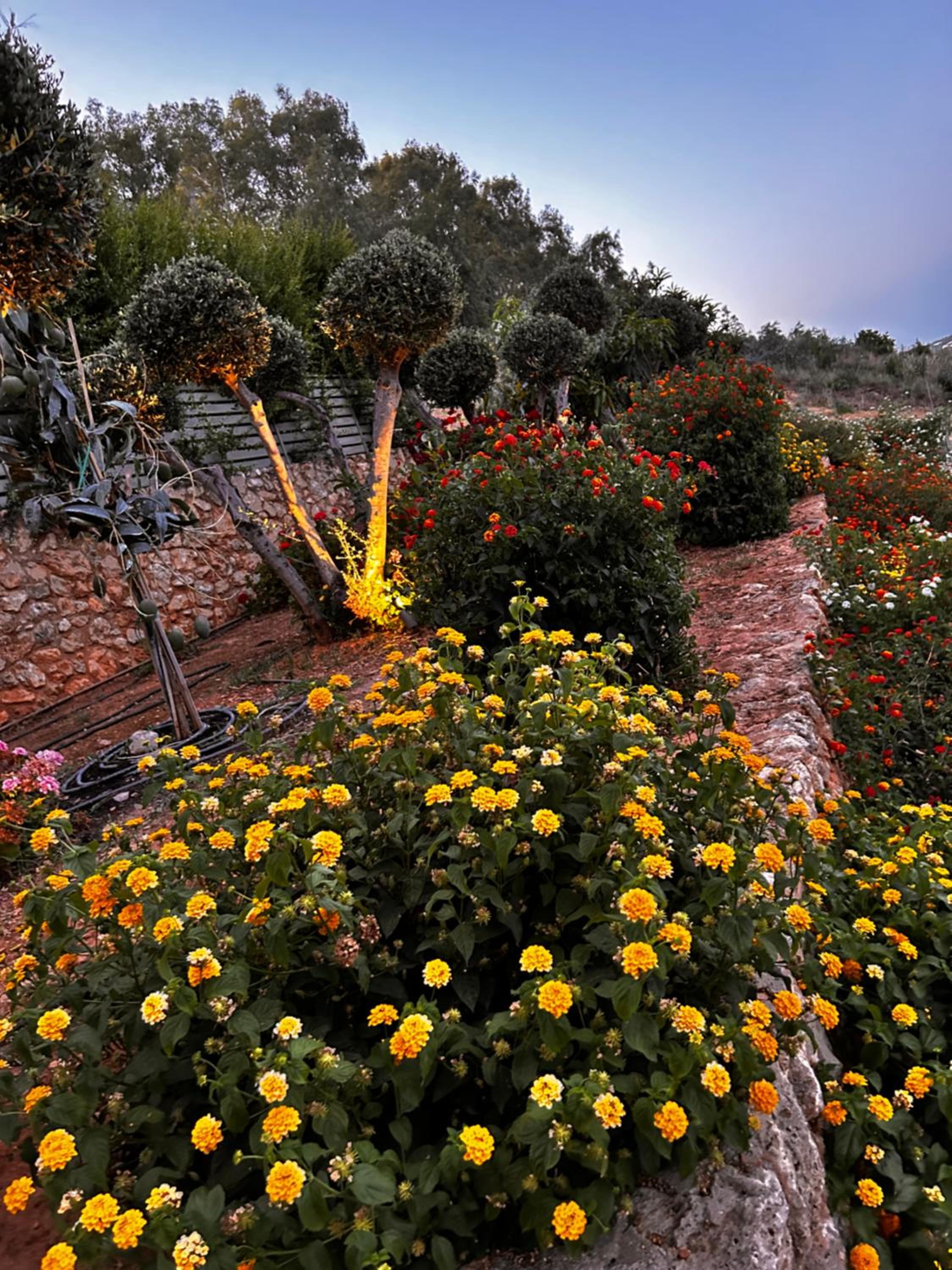 Physis Villas Chania — photo 2