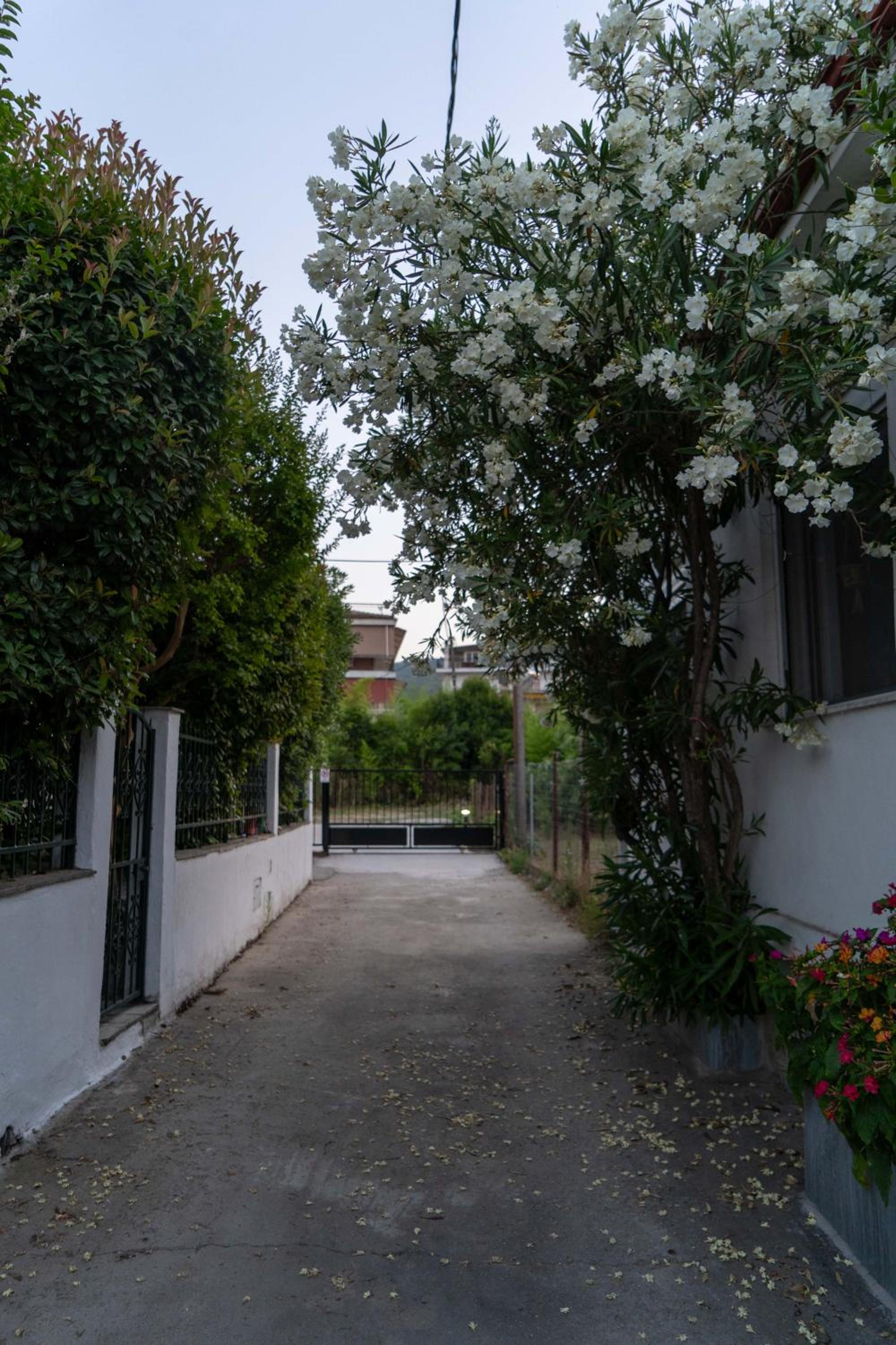 Terrazzo House