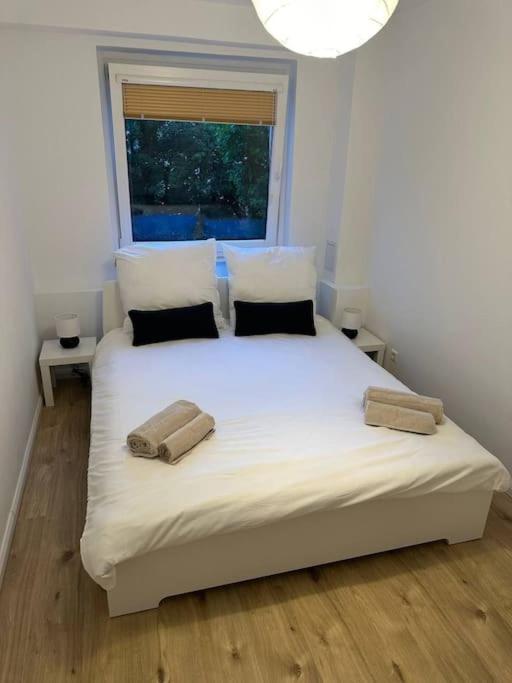 Comfortable and Spacious Residence