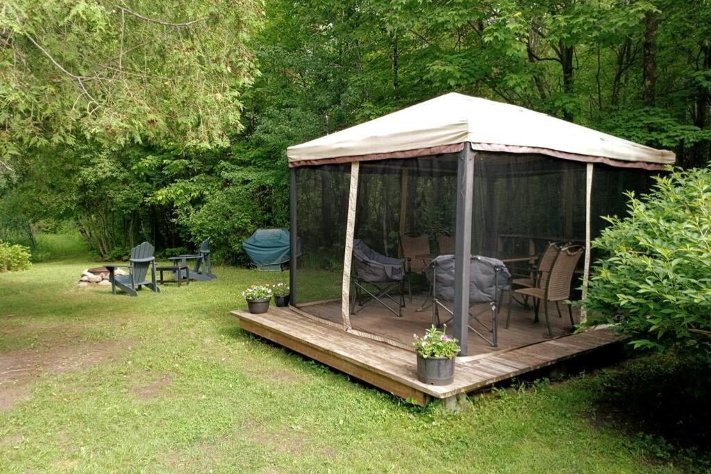 Cute, Cozy, Country Living