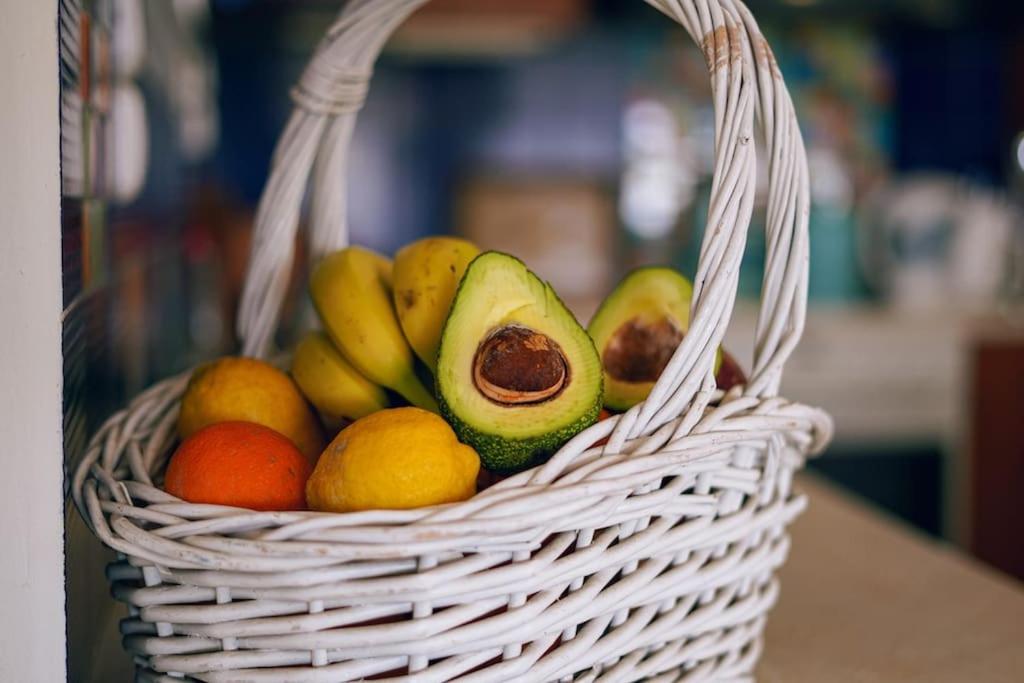 Villa Avocado