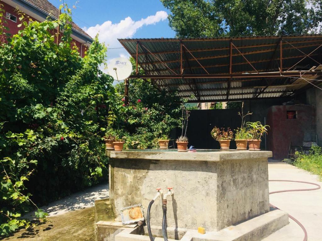 Ramil Host House