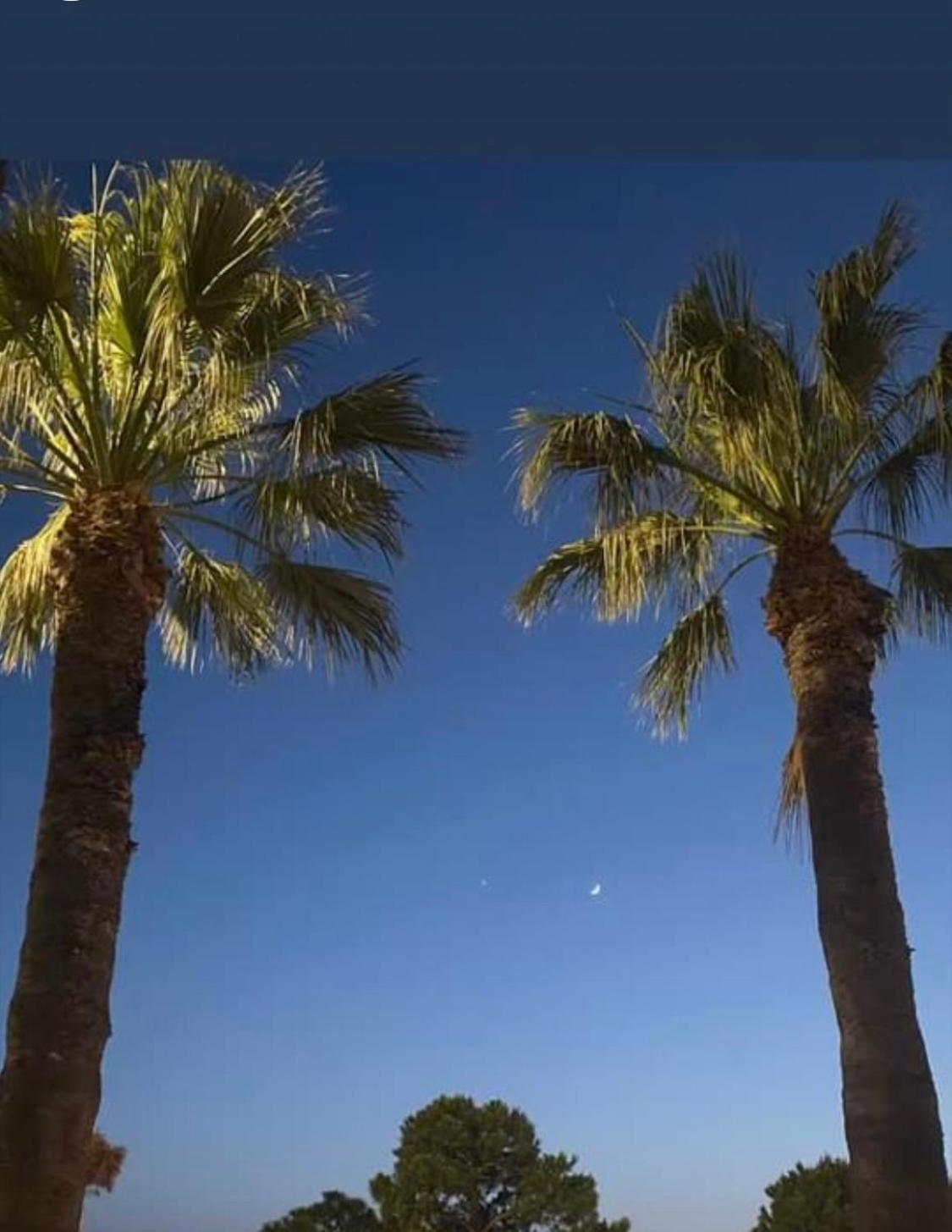 The Moon Apartments