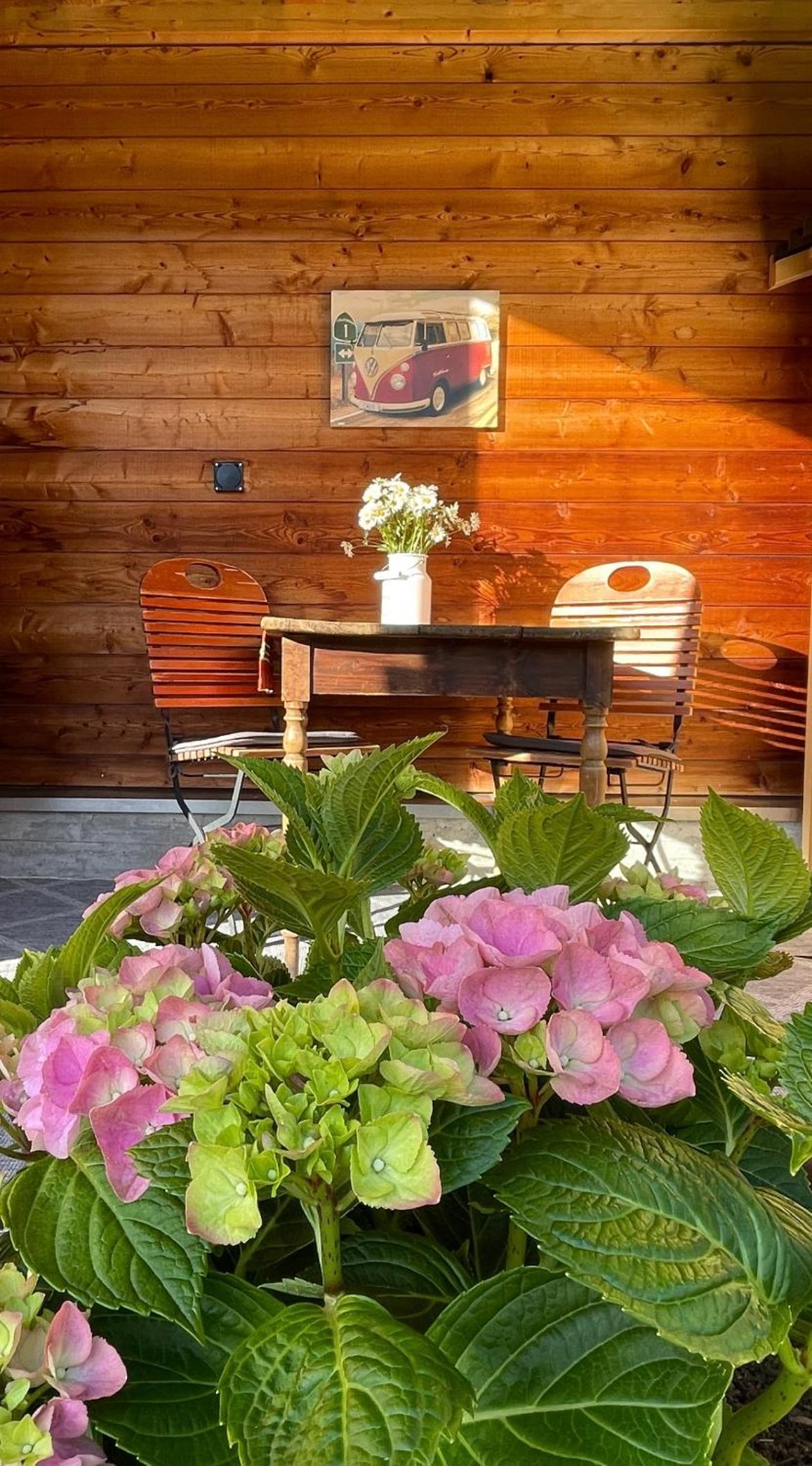 Nanisgarten - Grannys flat