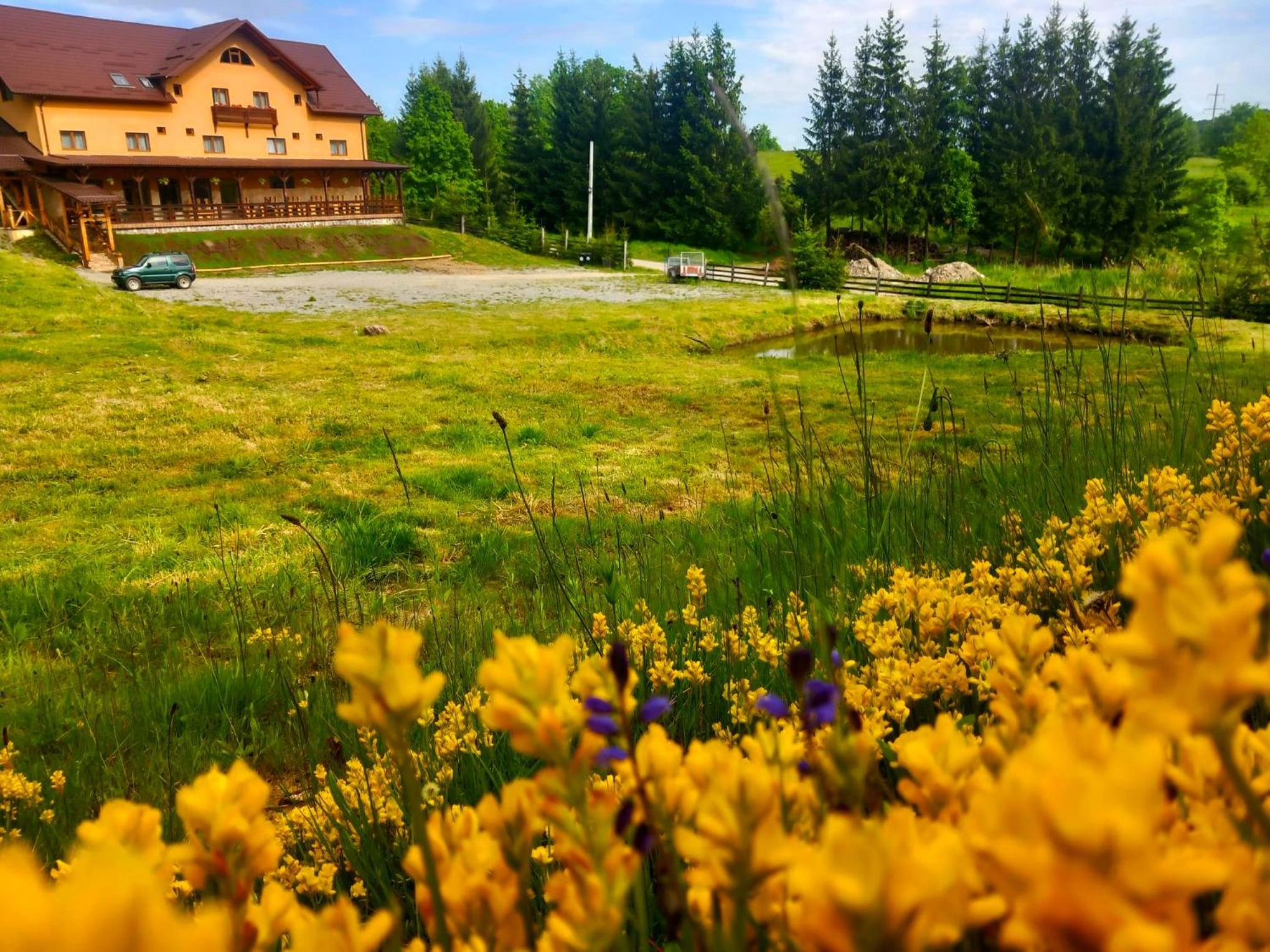La Lacuri view 5