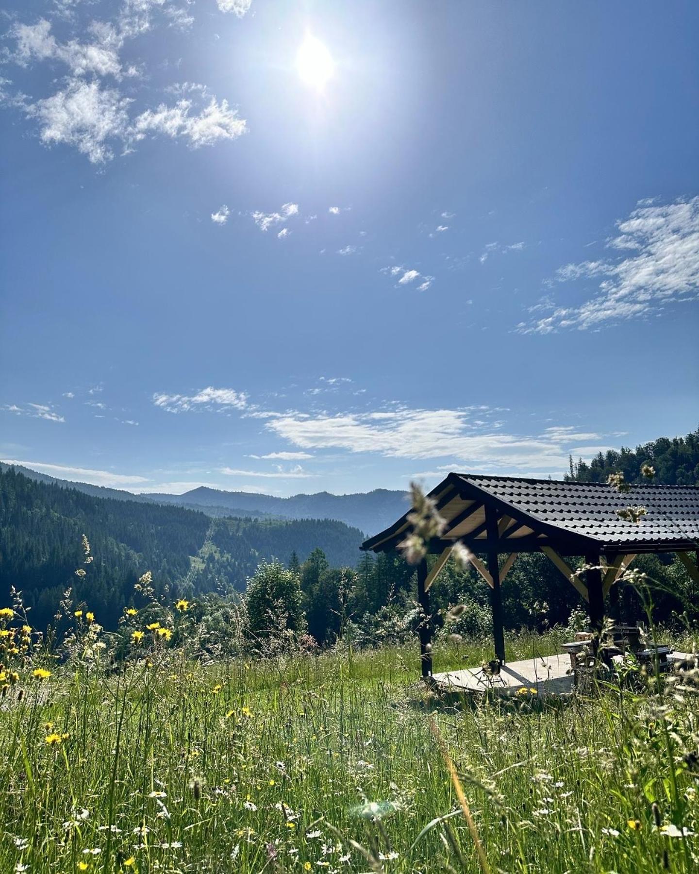 Atipic Chalet view 5
