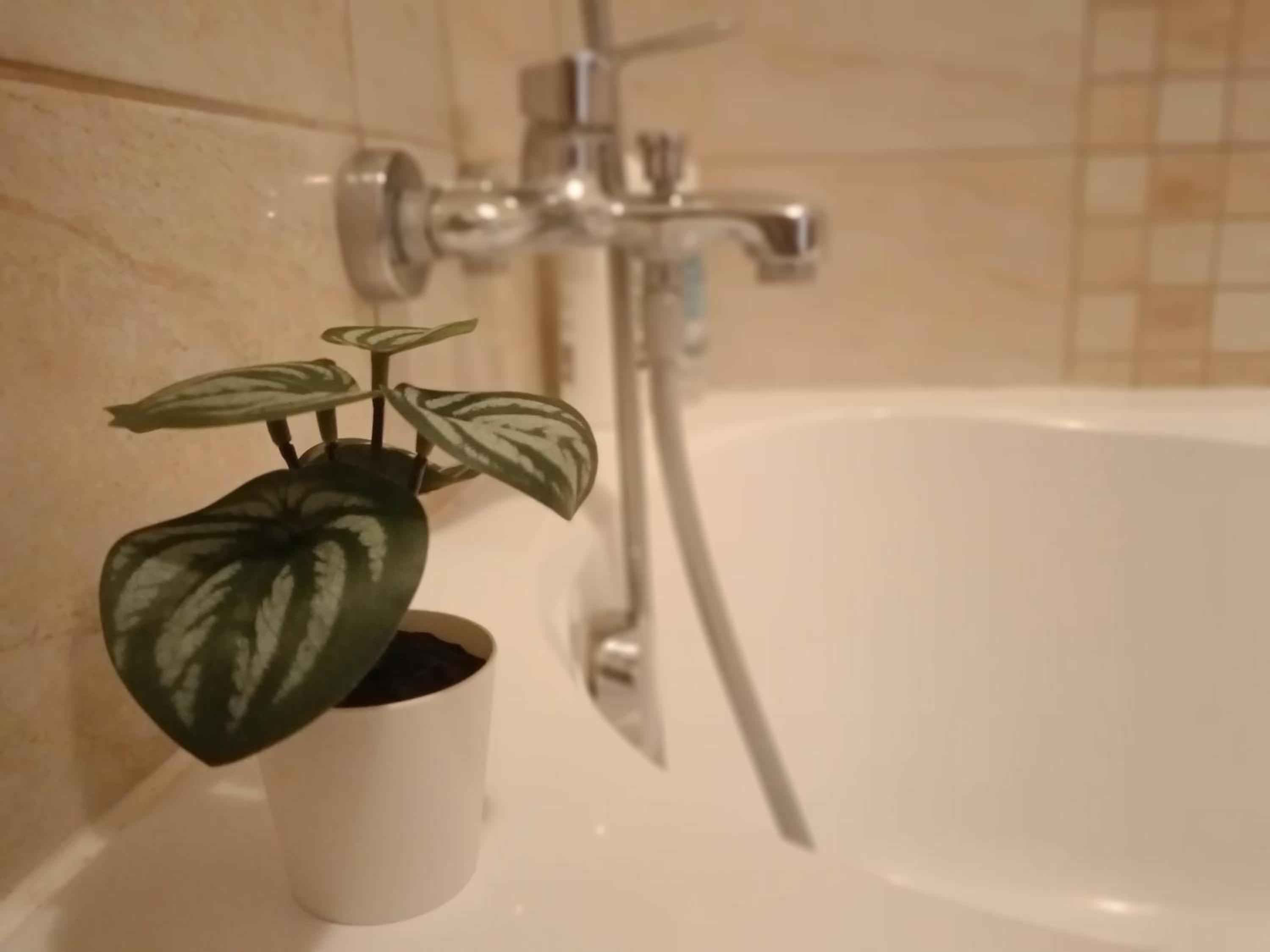 Tulipán Apartman