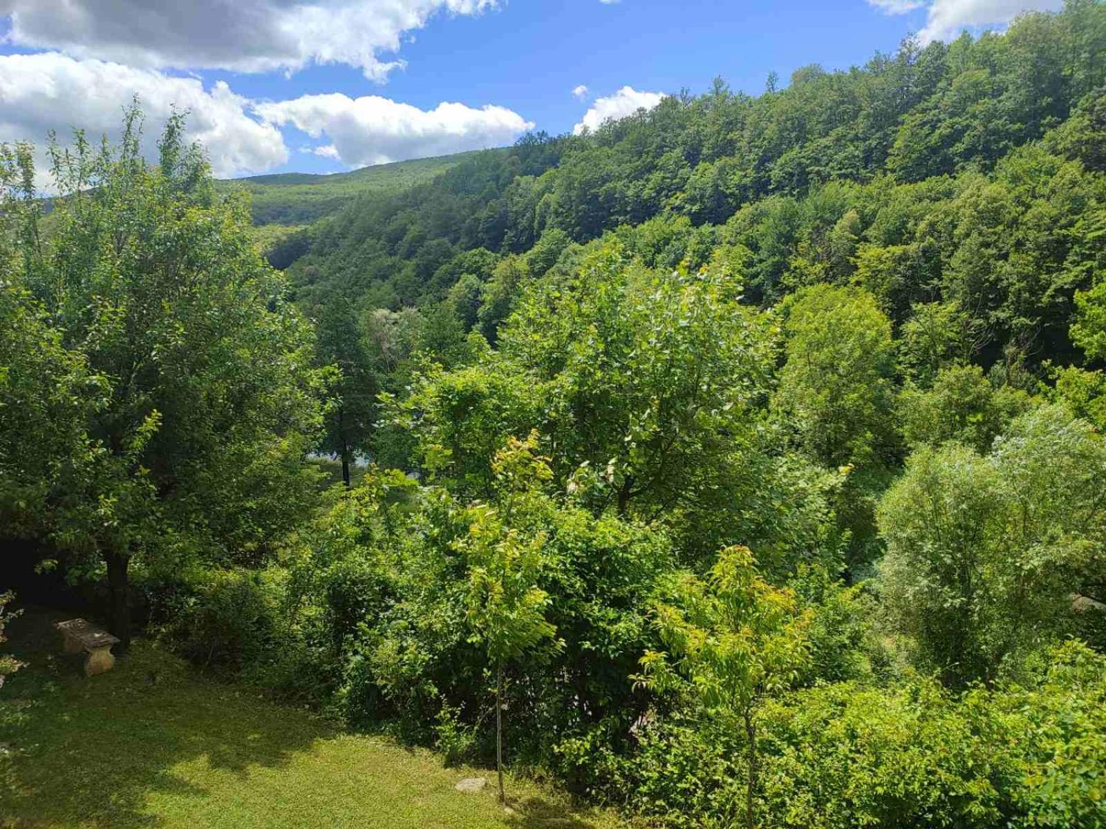 Villa Beata the entire Villa total privacy