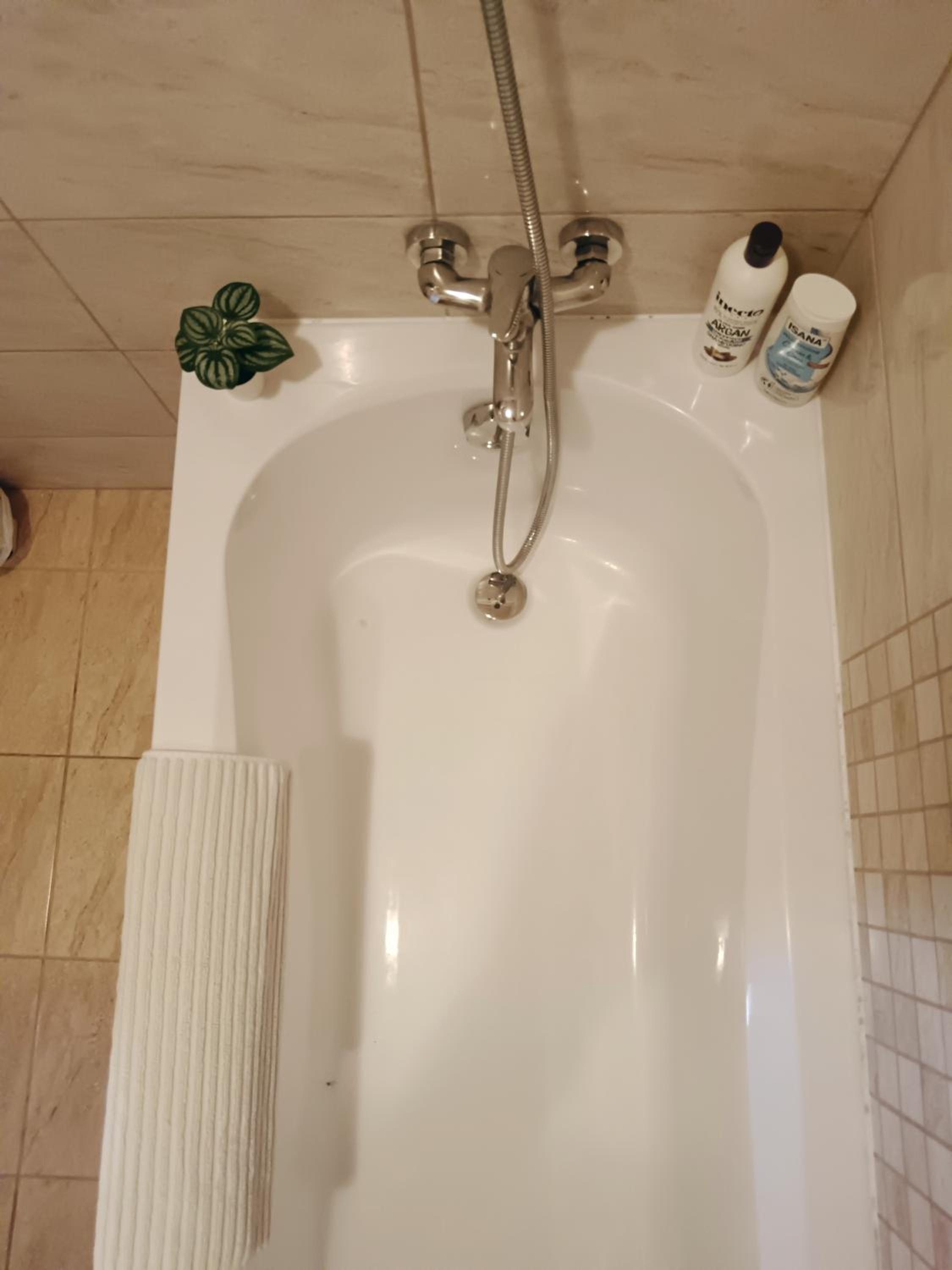 Tulipán Apartman