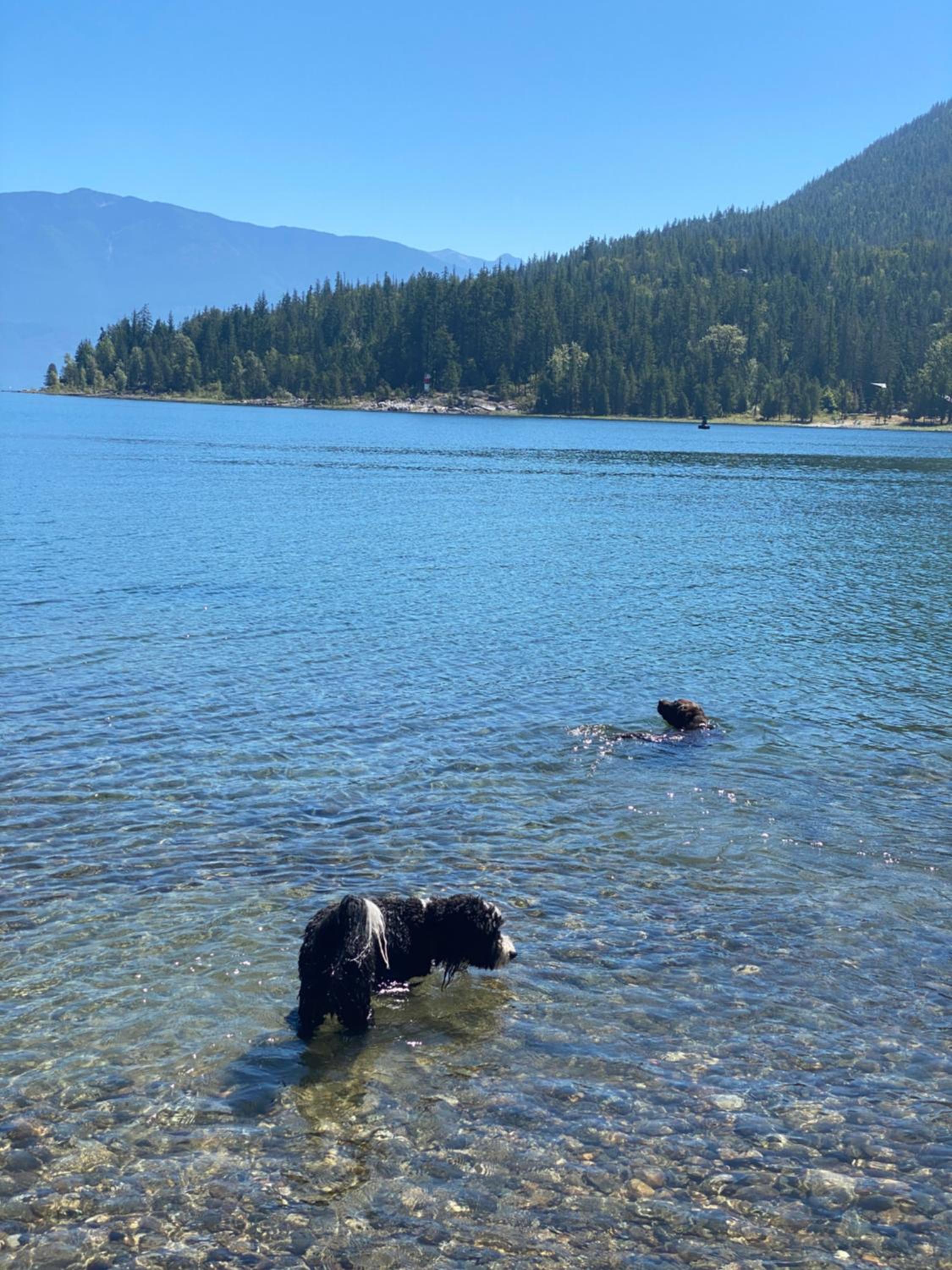The Kootenay Cottage