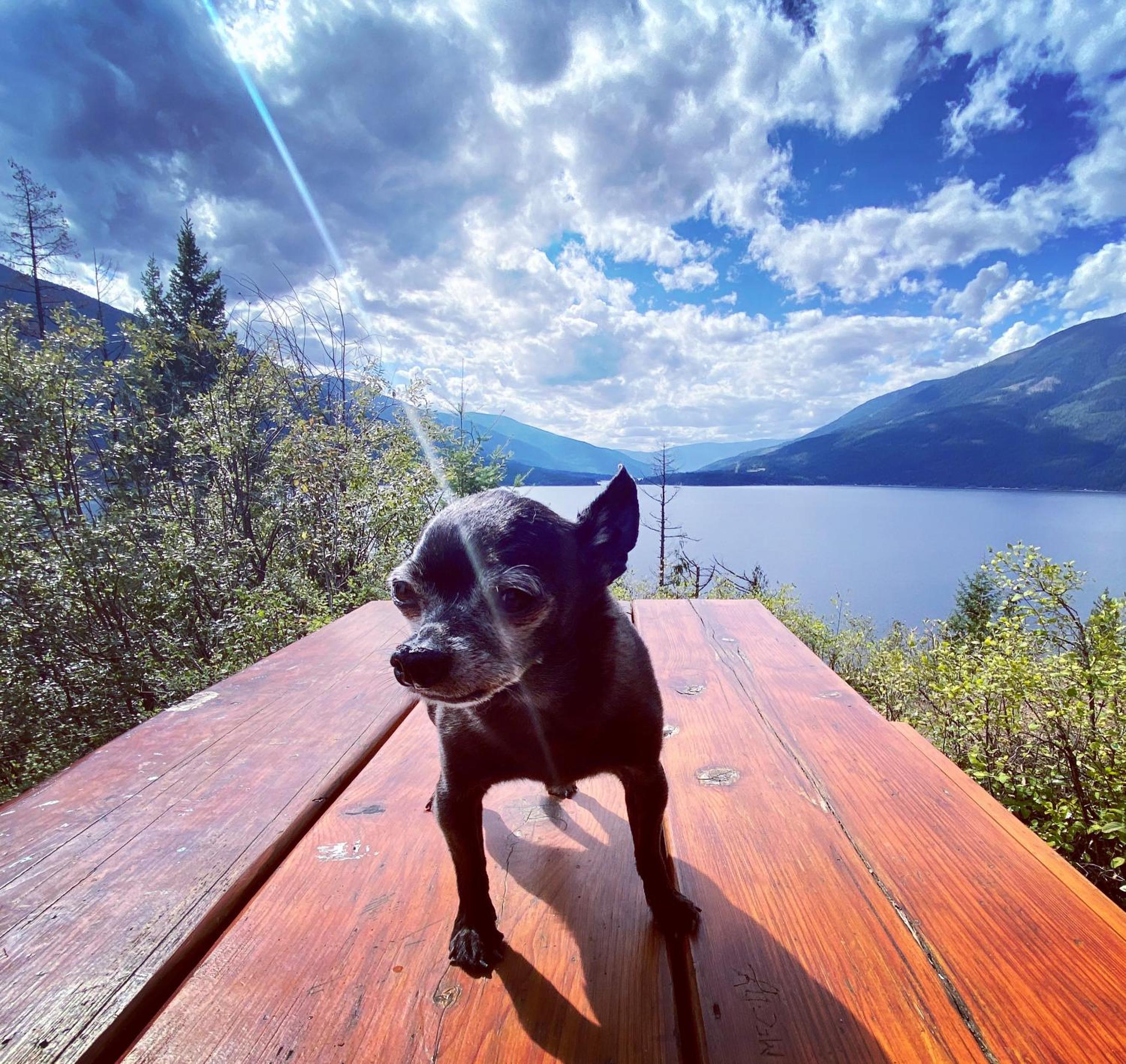 The Kootenay Cottage