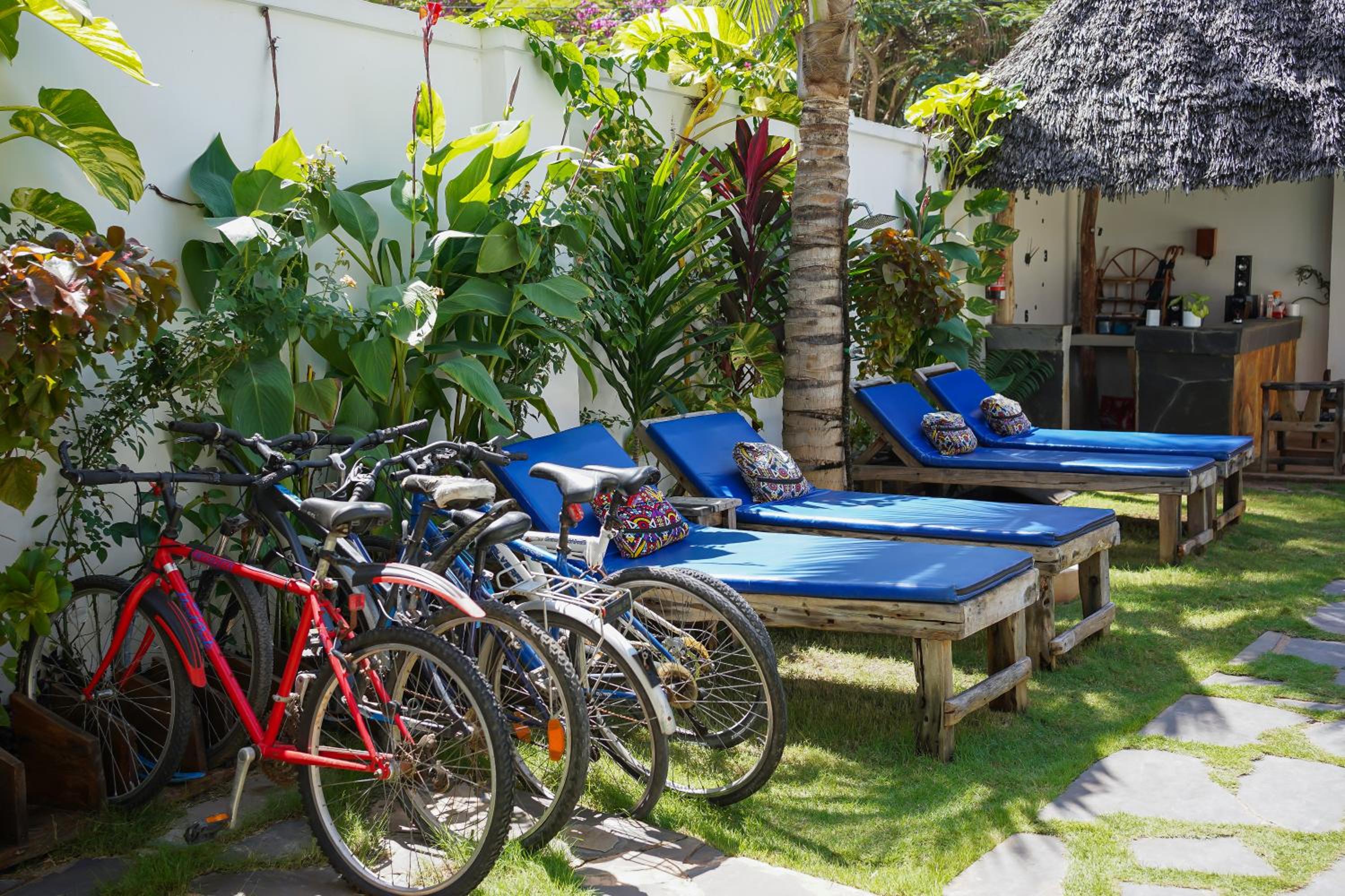 Mambo Cabana view 5