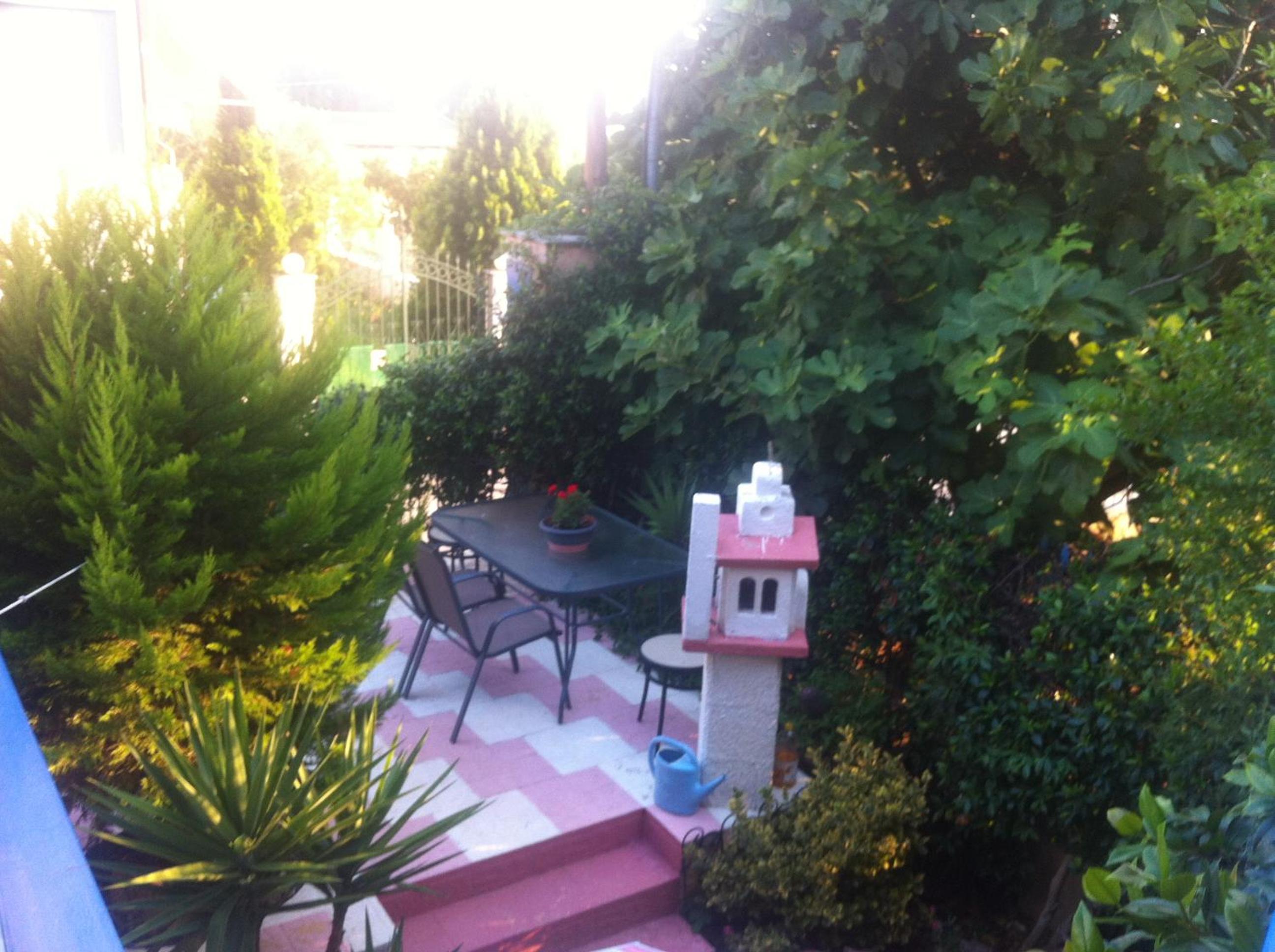 Photo 48