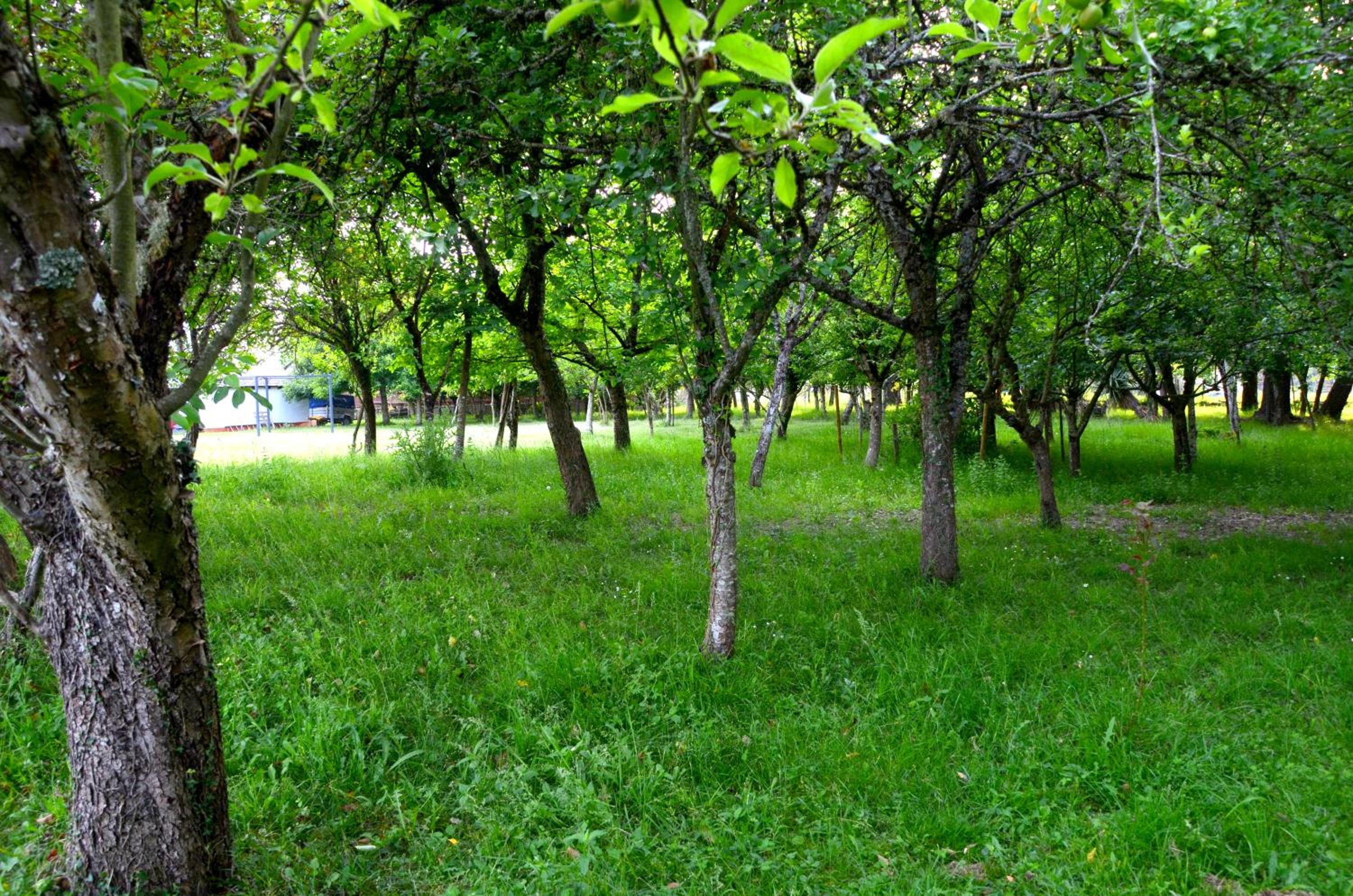 Agradable casa de aldea en un entorno natural
