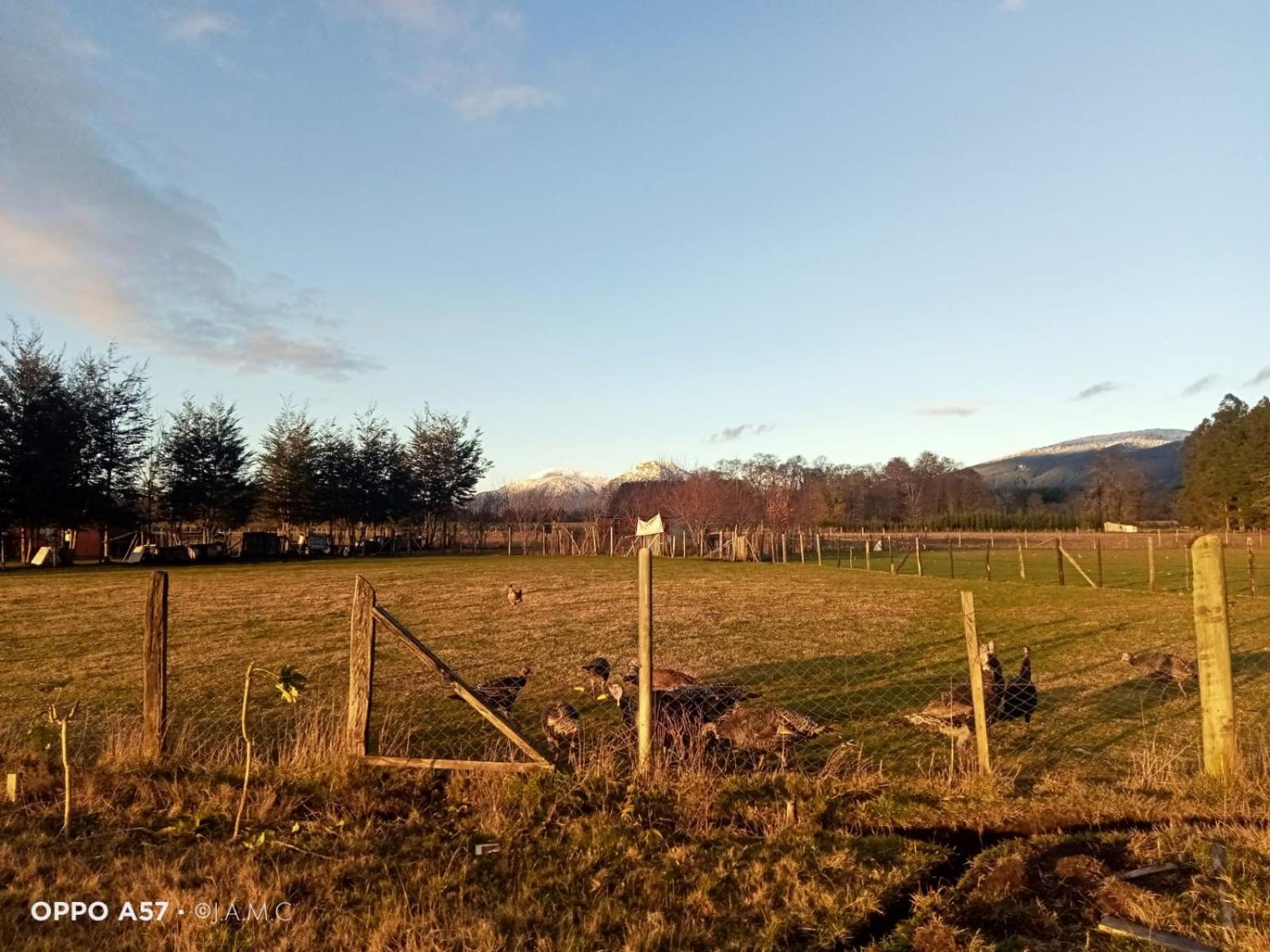 Cabaña Cunco parcela