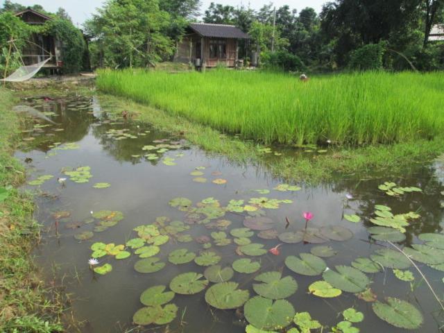 Sukhothai City Resort