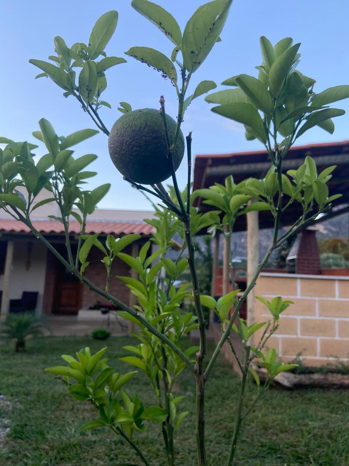 Chalé Pedra Dourada