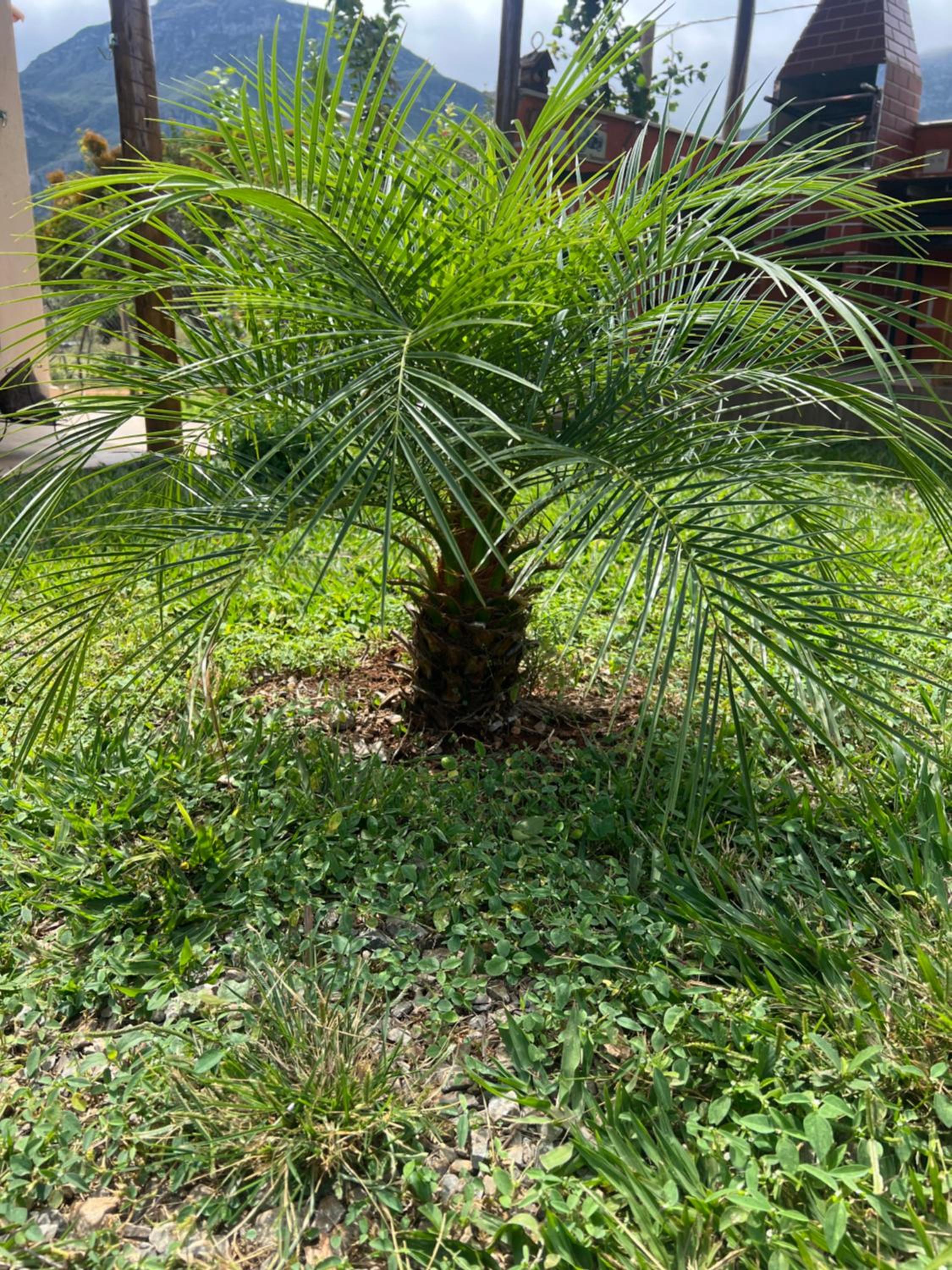 Chalé Pedra Dourada