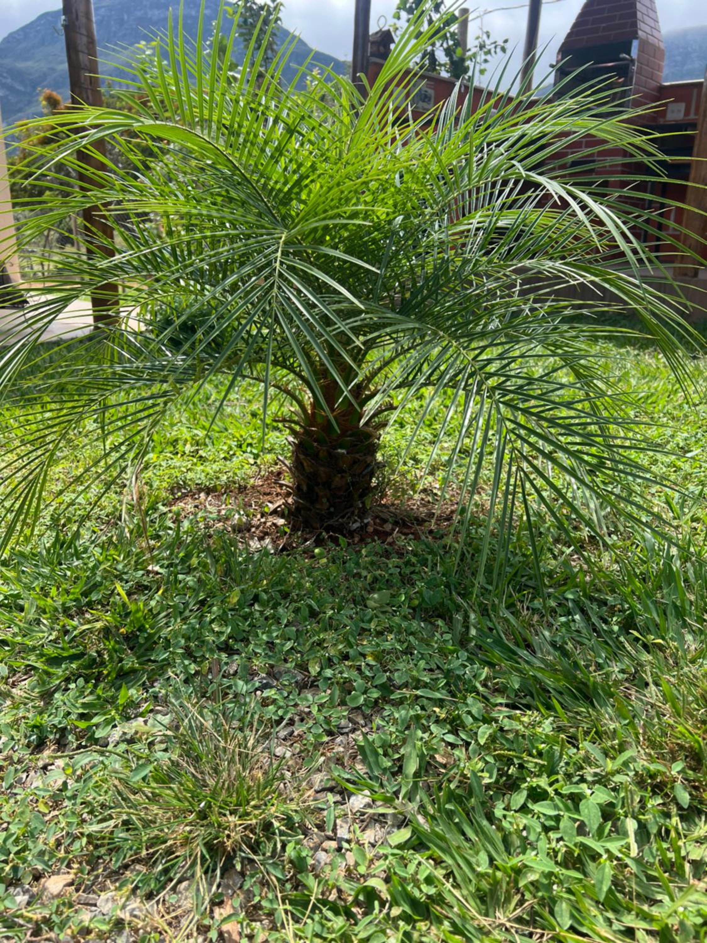 Chalé Pedra Dourada