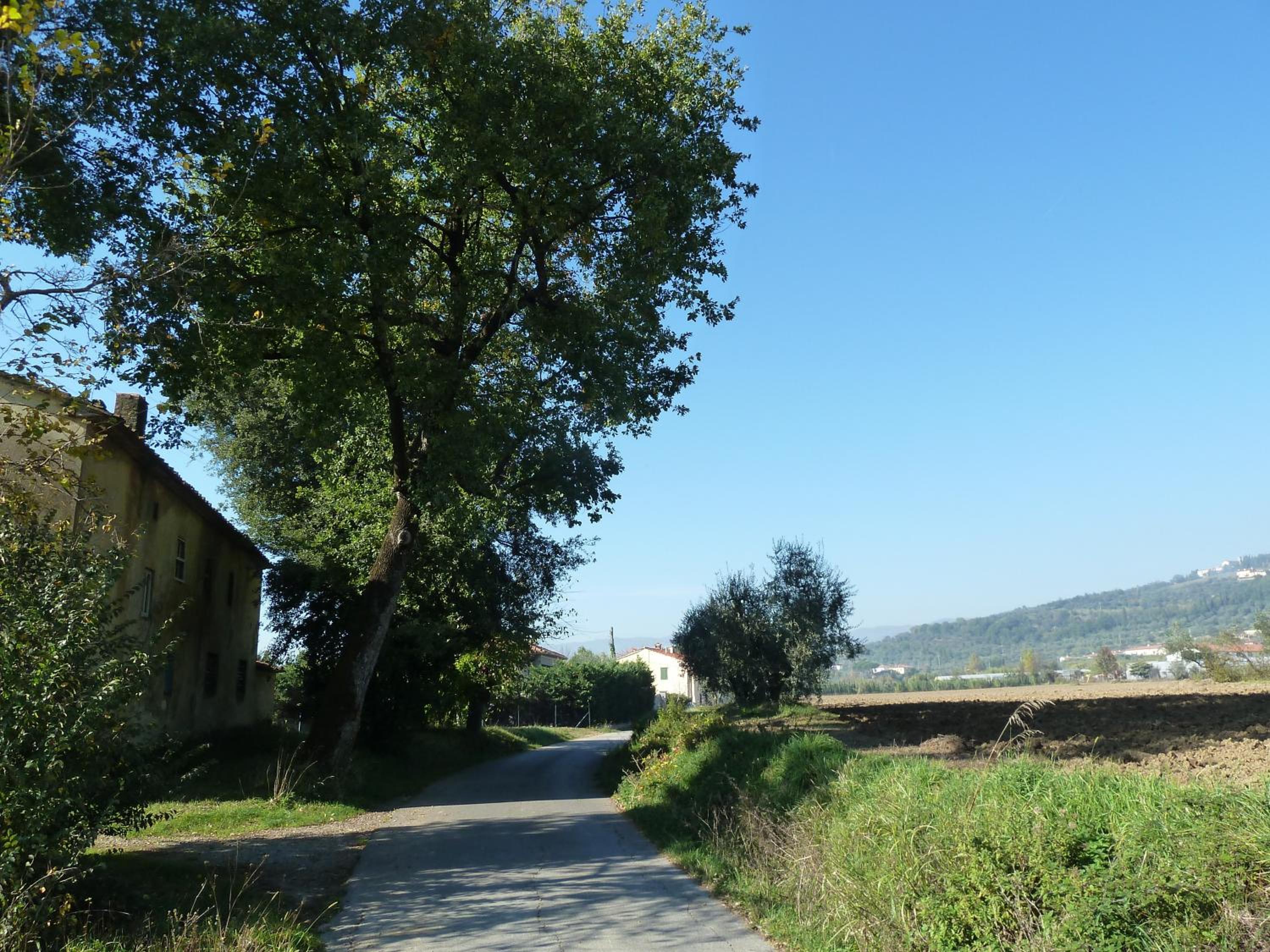 Photo 50