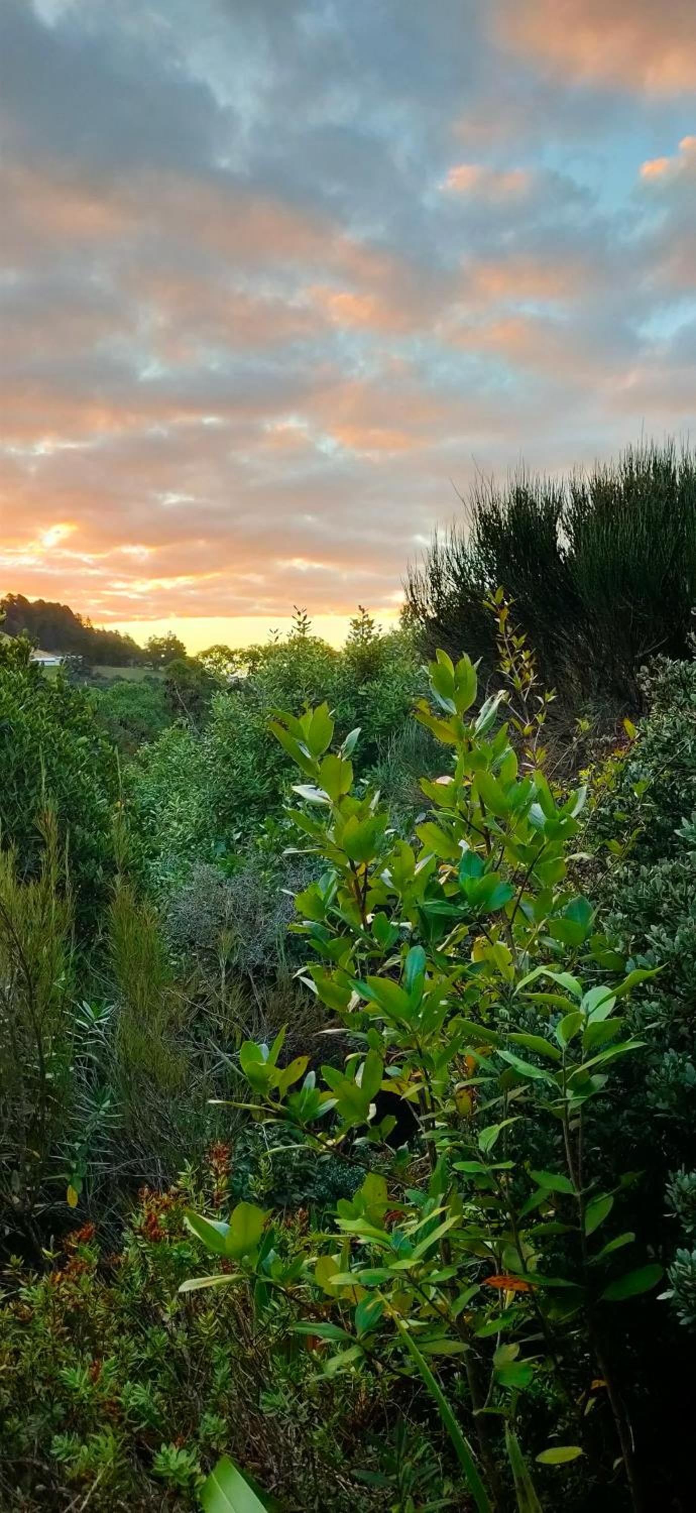 Pukemara Retreat