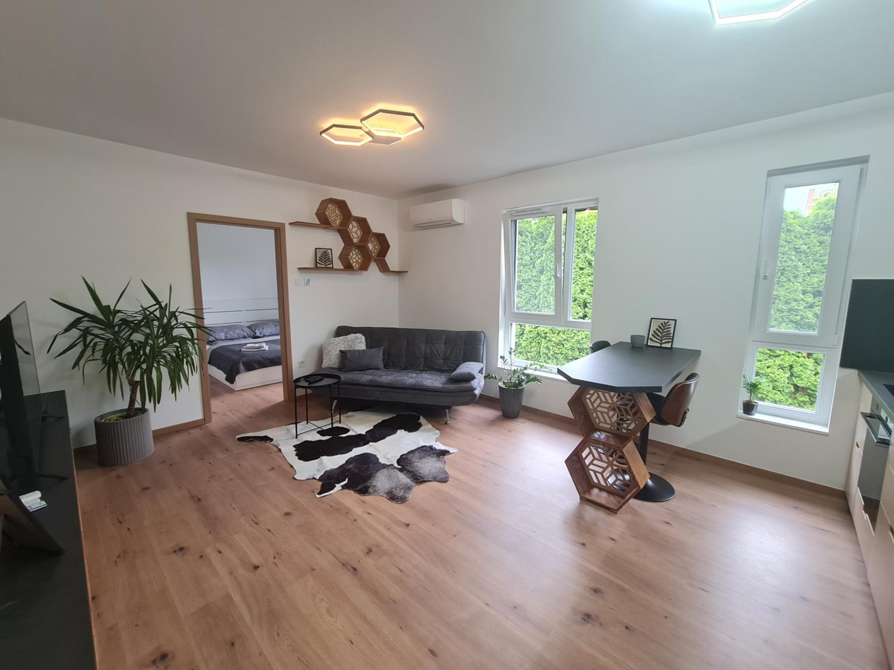 Hexagon Apartman Szeged view 4