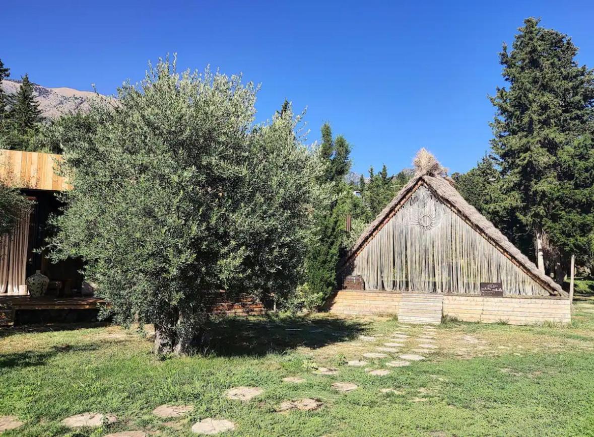 Summer Villa Olea Residence Drimades
