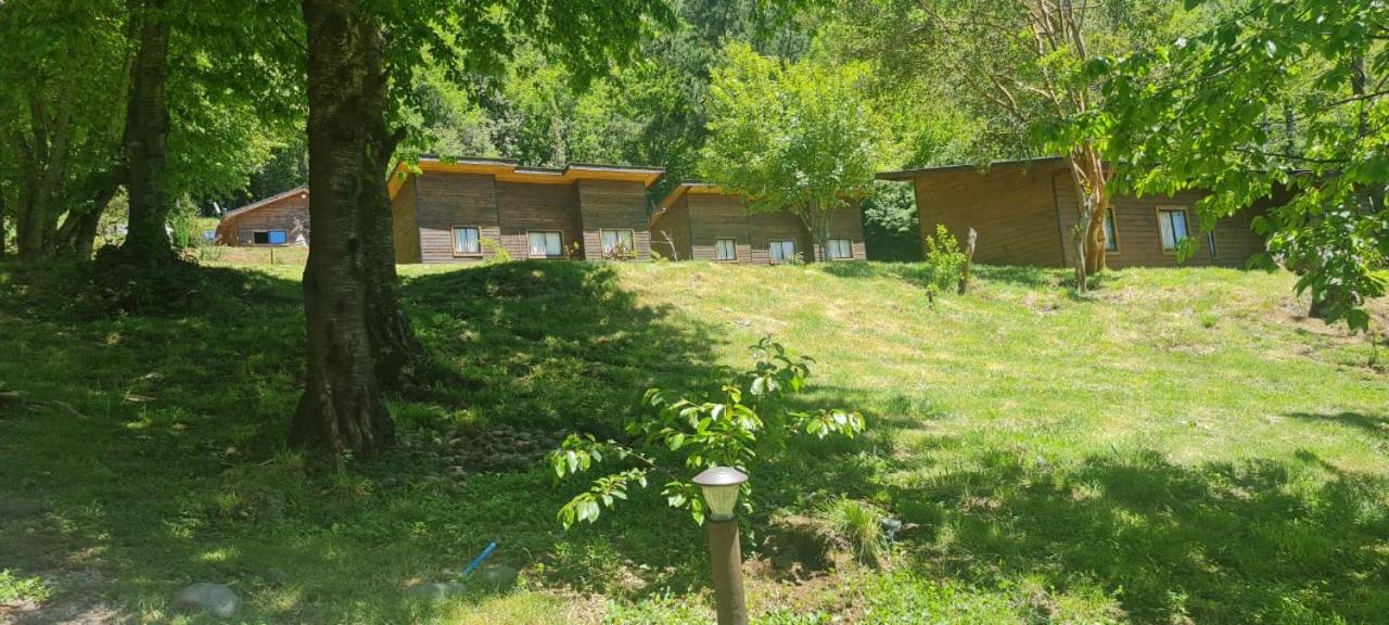 Cabañas el Aguila Rukañanku