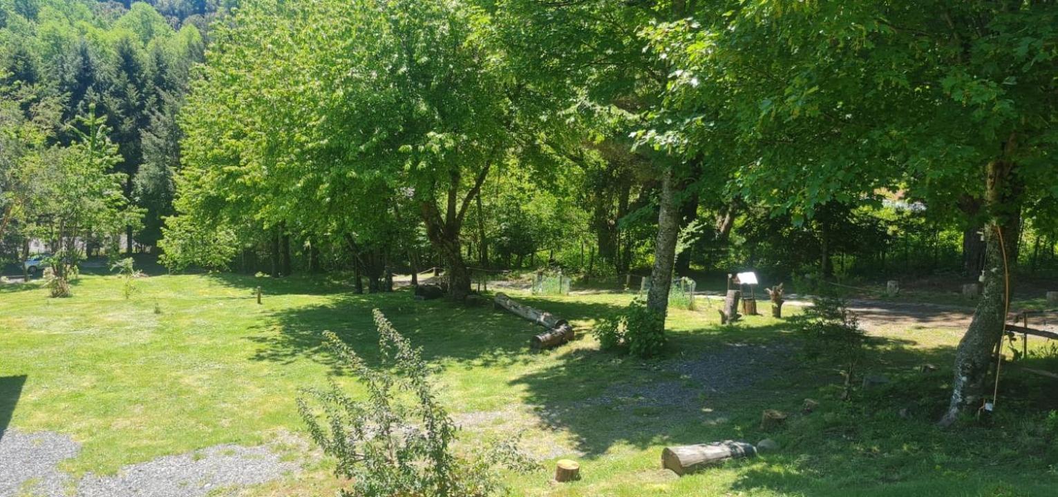 Cabañas el Aguila Rukañanku